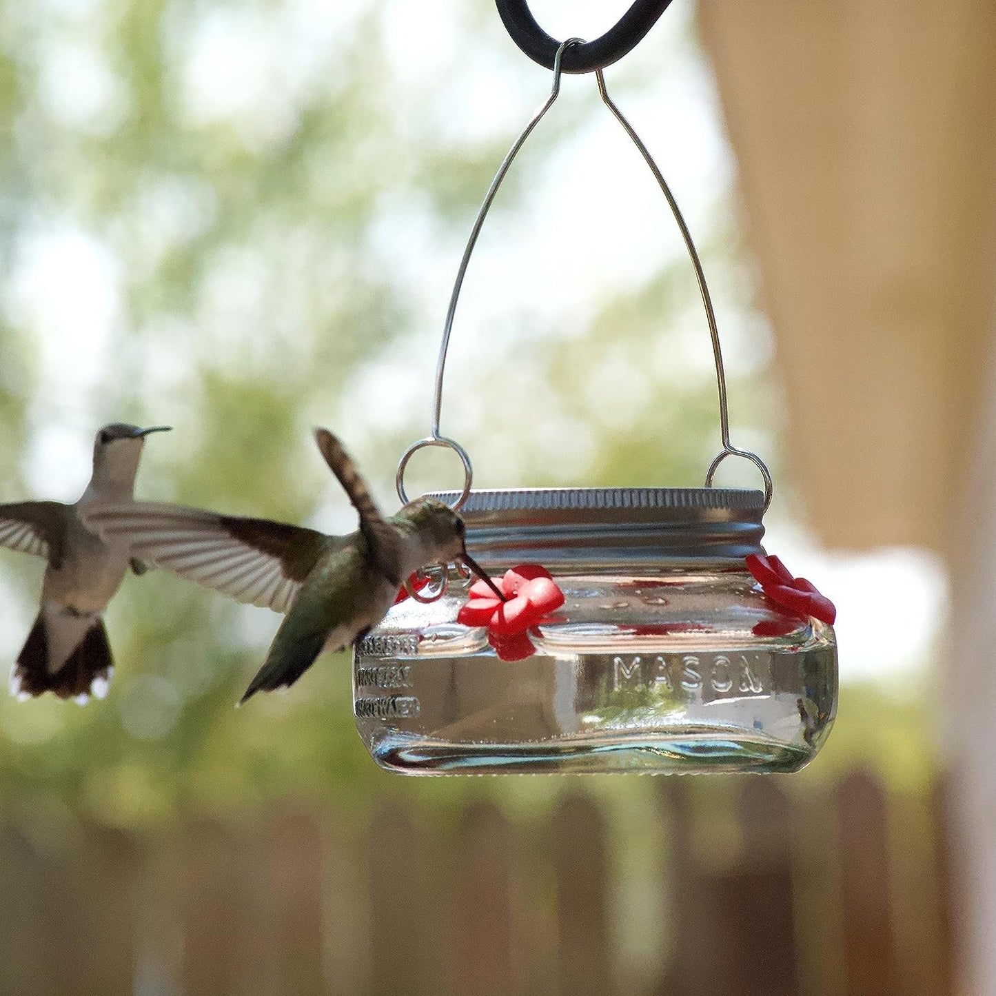 Nature's Way Bird Products MJF1 Nature's Way Mason Jar Hummingbird Dis