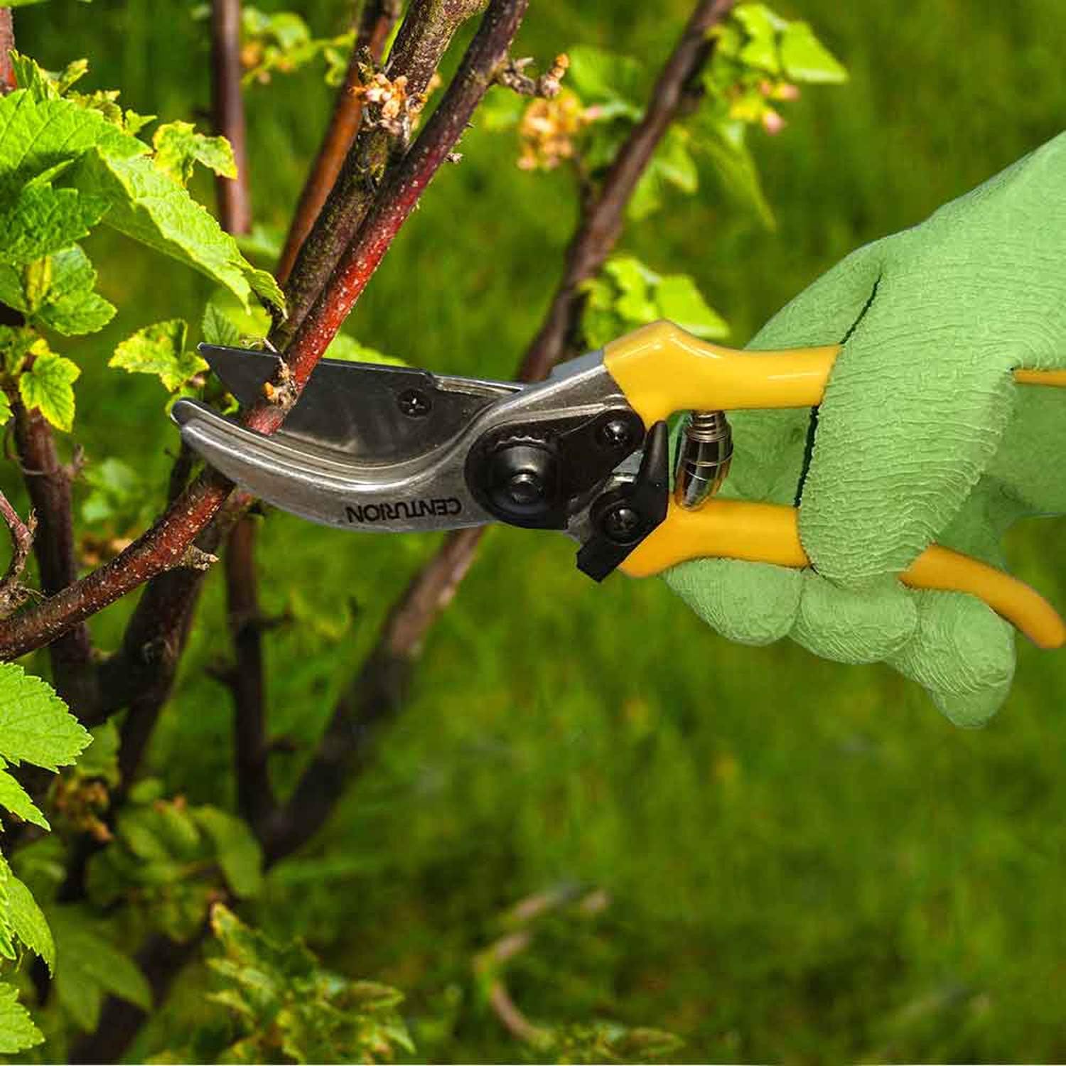 Centurion 1222 3-Piece Lopper, Hedge Shear & Pruner Combo Set, Heavy D