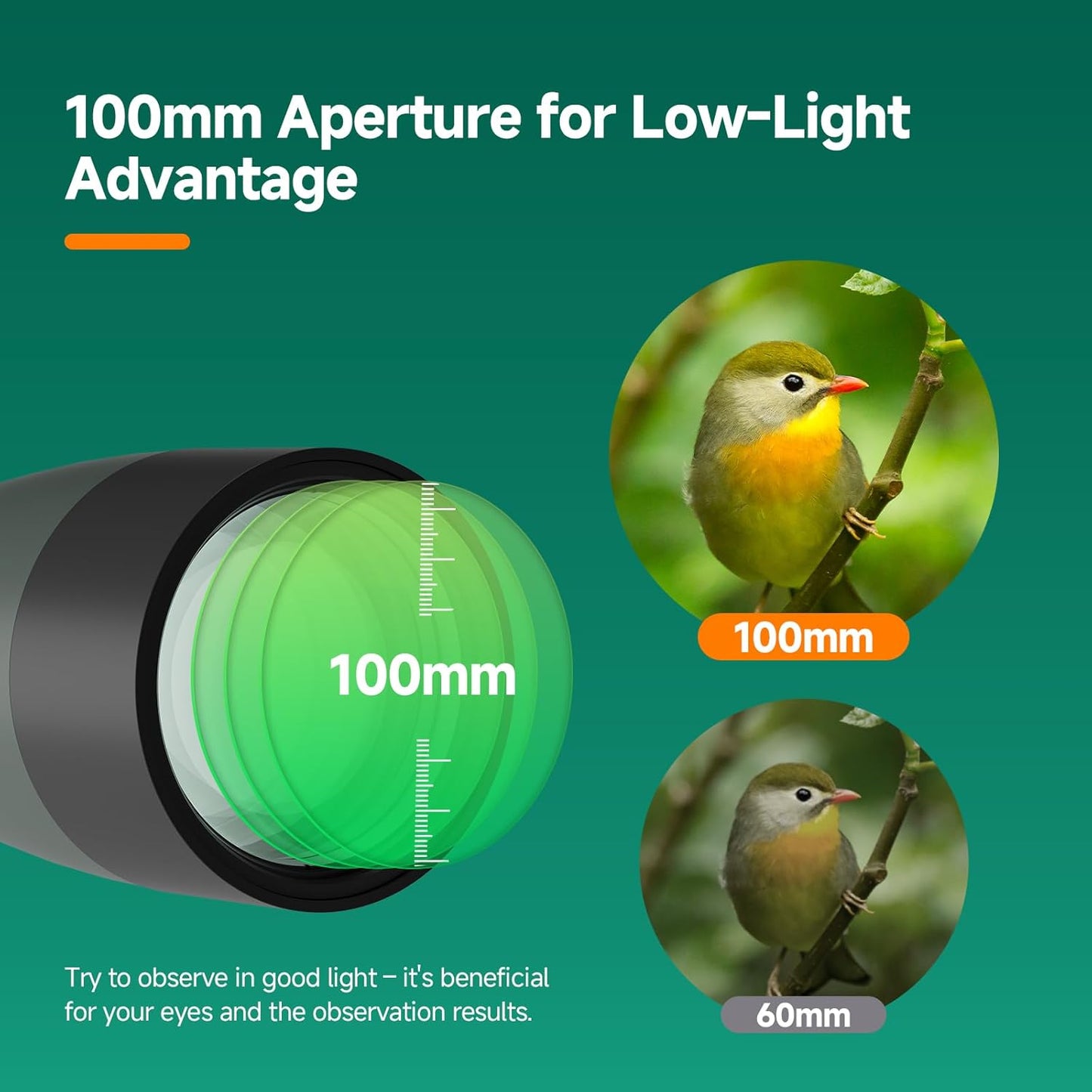 SVBONY SV28 20-60x80 New Version Spotting Scope for Target Observation, Long Range Spotter Scope with Phone Adapter,Shutter and Tripod, HD Scope for Bird Watching, Wildlife Observation
