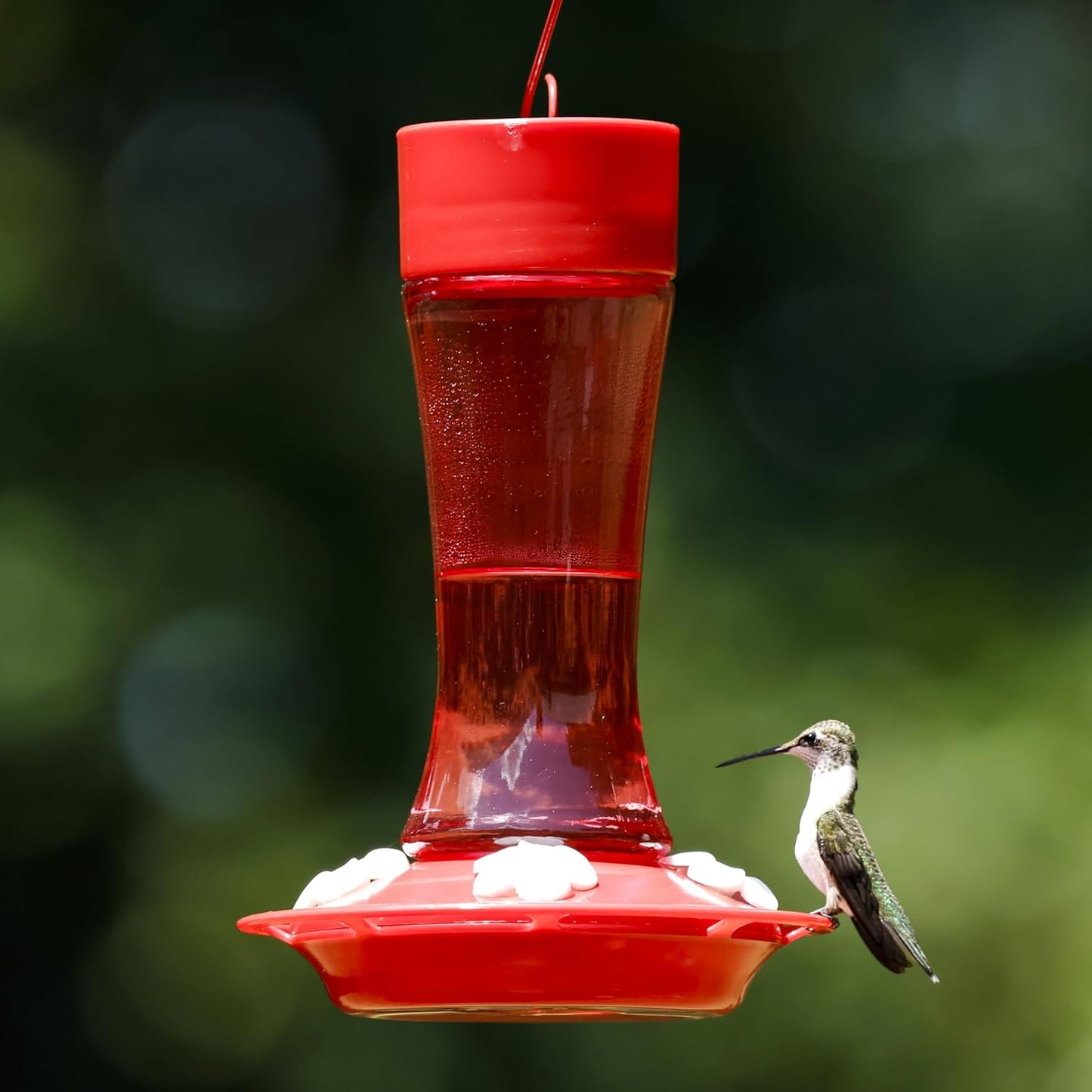 Nature’s Way Crimson Silhouette Glass Gravity Hummingbird Feeder for Outdoor Décor, 11 oz Capacity Nectar Feeder, 4 Leak-Free Flexible Ports with Built-in Ant Moat, Red