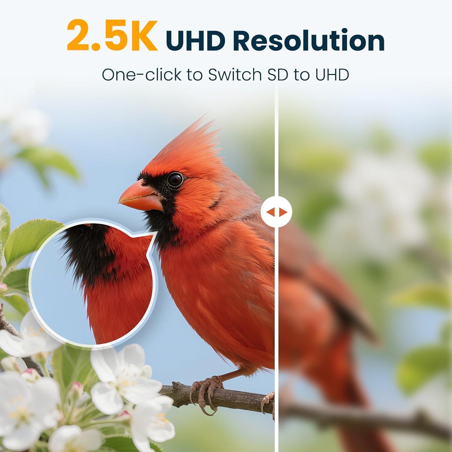 Smart Bird Feeder with Camera, 2.5K UHD Bird Feeder Camera Solar Powered, Sensitive AI Identification, Instant Alerts Capture Video, IP66 Waterproof for Outdoor, Ideal Gift, Blue