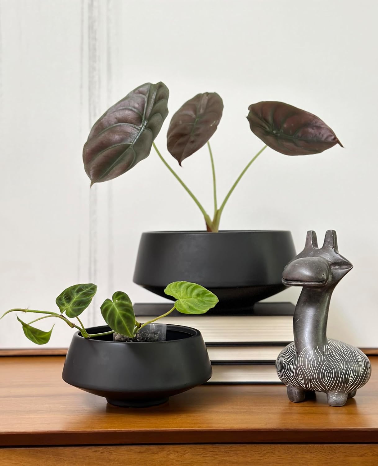 Admired by Nature Set of 6.5" & 9.5" Ceramic Flower Planters, Decorative Pot for Indoor Succulent Home Décor, Black