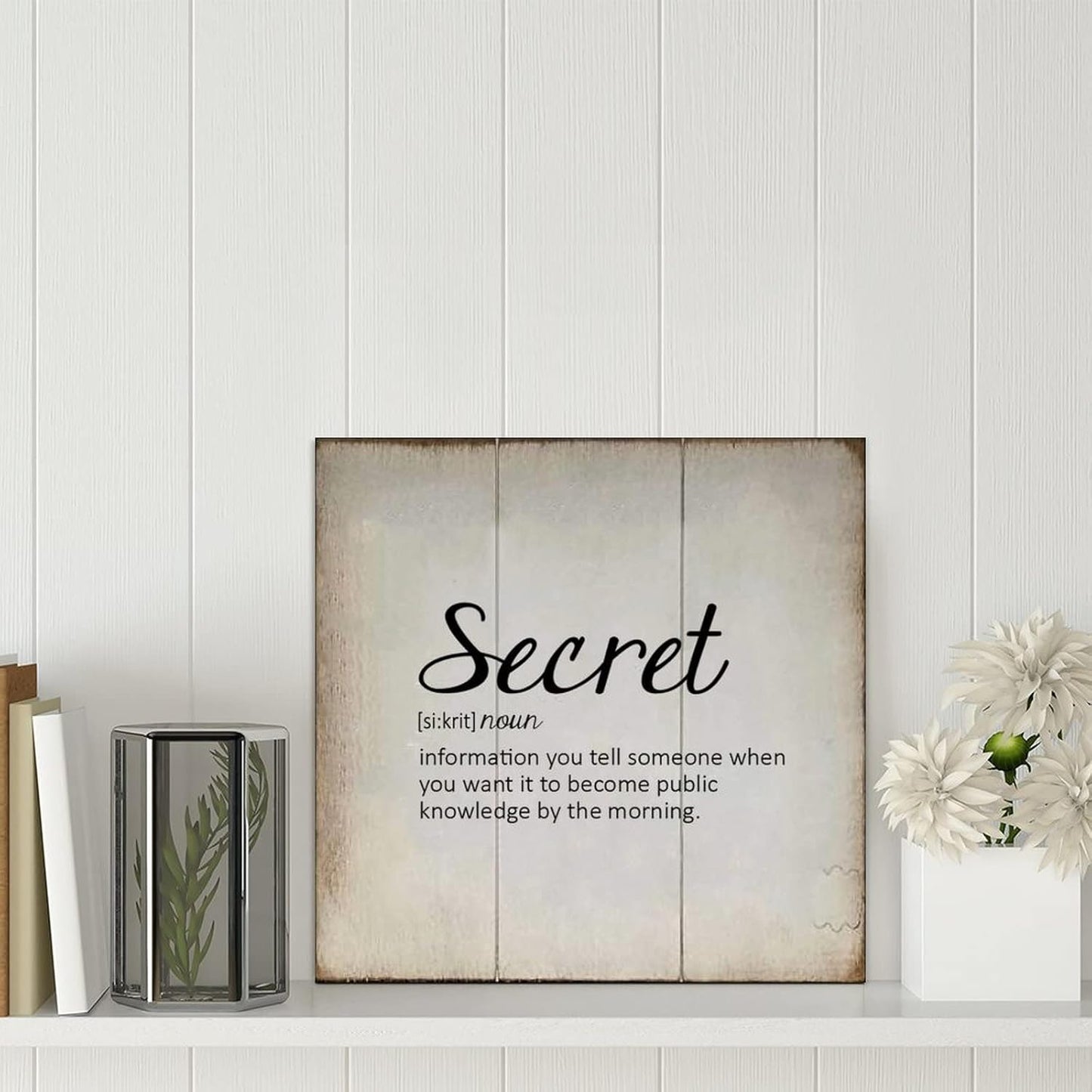 LITTLEGROVE SEEDS Vintage Wood Signs Secret Definition Typography Wooden Sign Secret Wall Decorations for Living Room Rustic Wall Art for Home Man Cave Door Porch Garden Party 8x8in