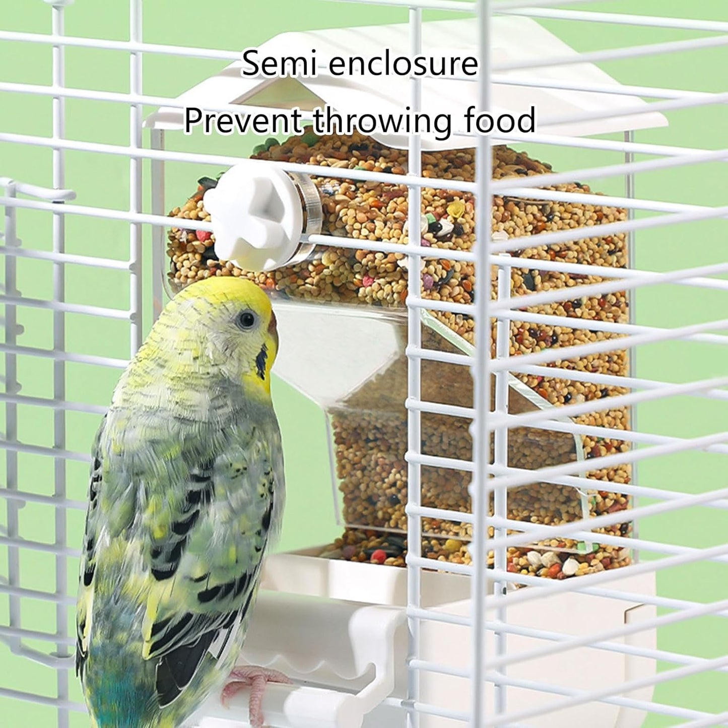 Bird Feeder Cage Mounted Bird Feeder Transparent Bird Feeding House Au