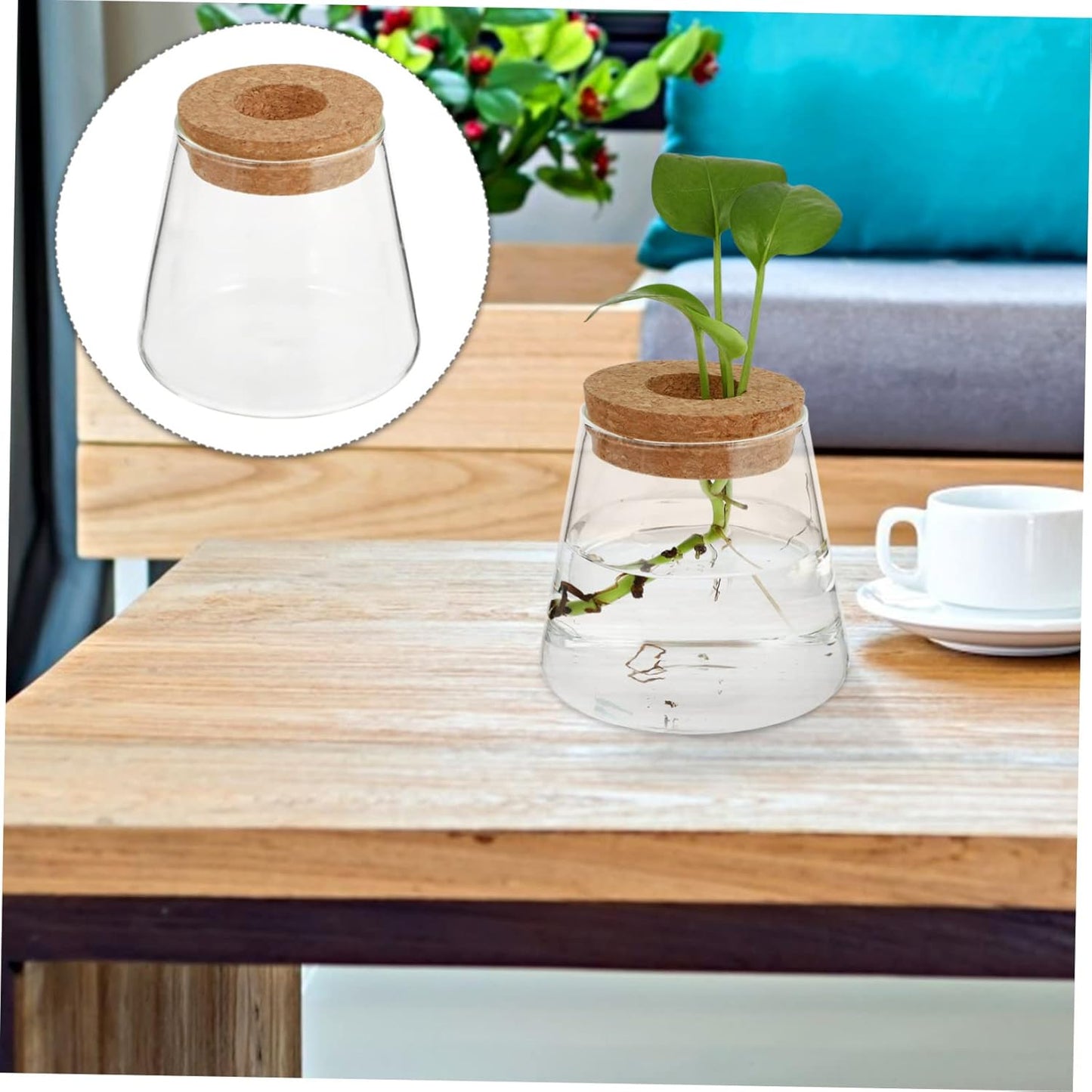 BESTOYARD 8pcs Glass Hydroponics Planter for Desktop Decoration Elegan