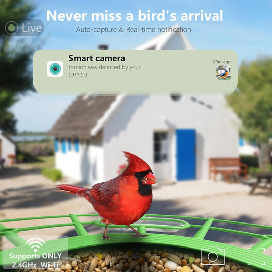 Bird Feeder with Camera, AI Birds Identification, Solar Powered, Live View, Instant Alerts, Capture Bird Videos, 2K HD Camera, Ideal Gift for Family and Enthusiasts (Green)