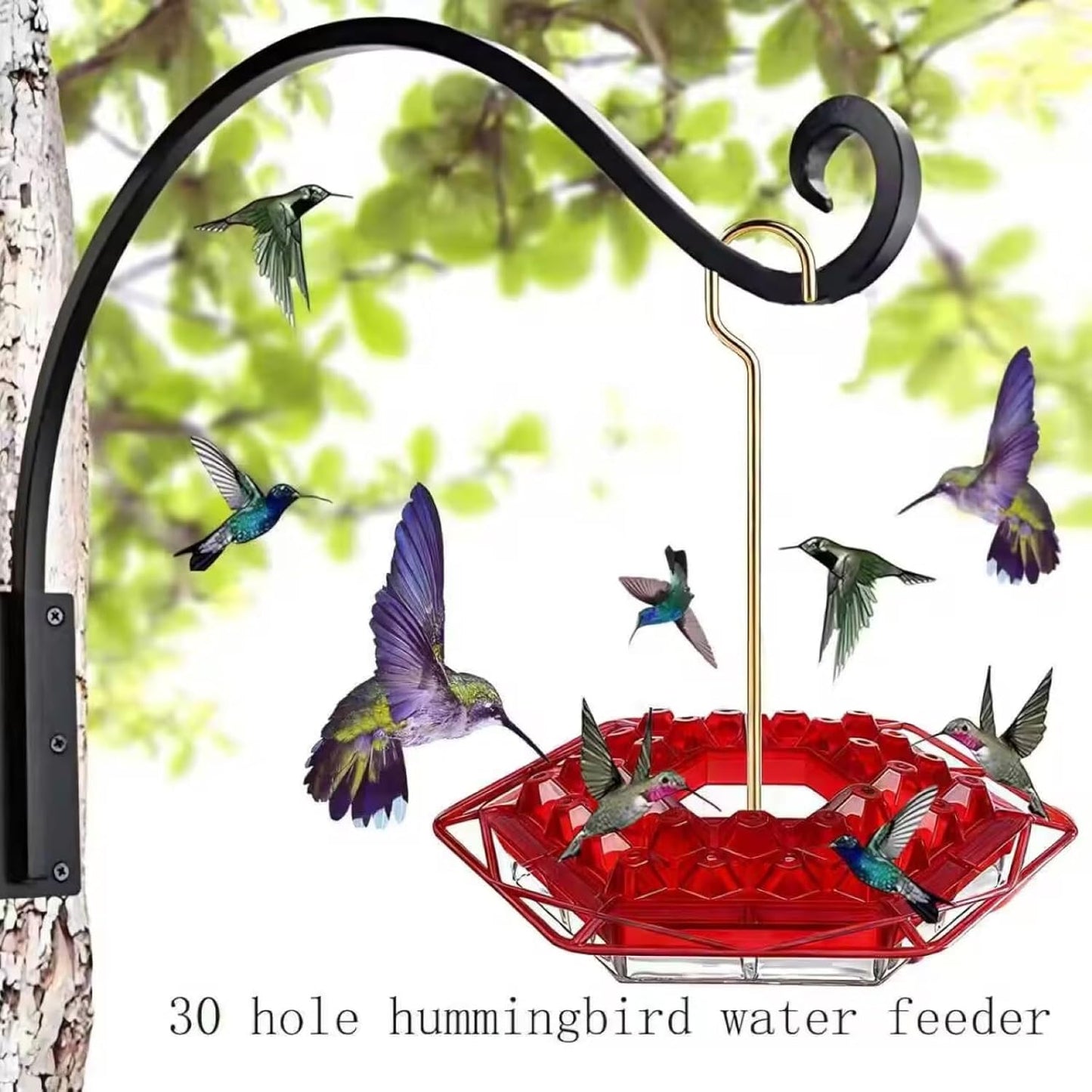 Hummingbird Feeder with Ant-Proof Moat Hummingbird Feeder, Easy to Cle