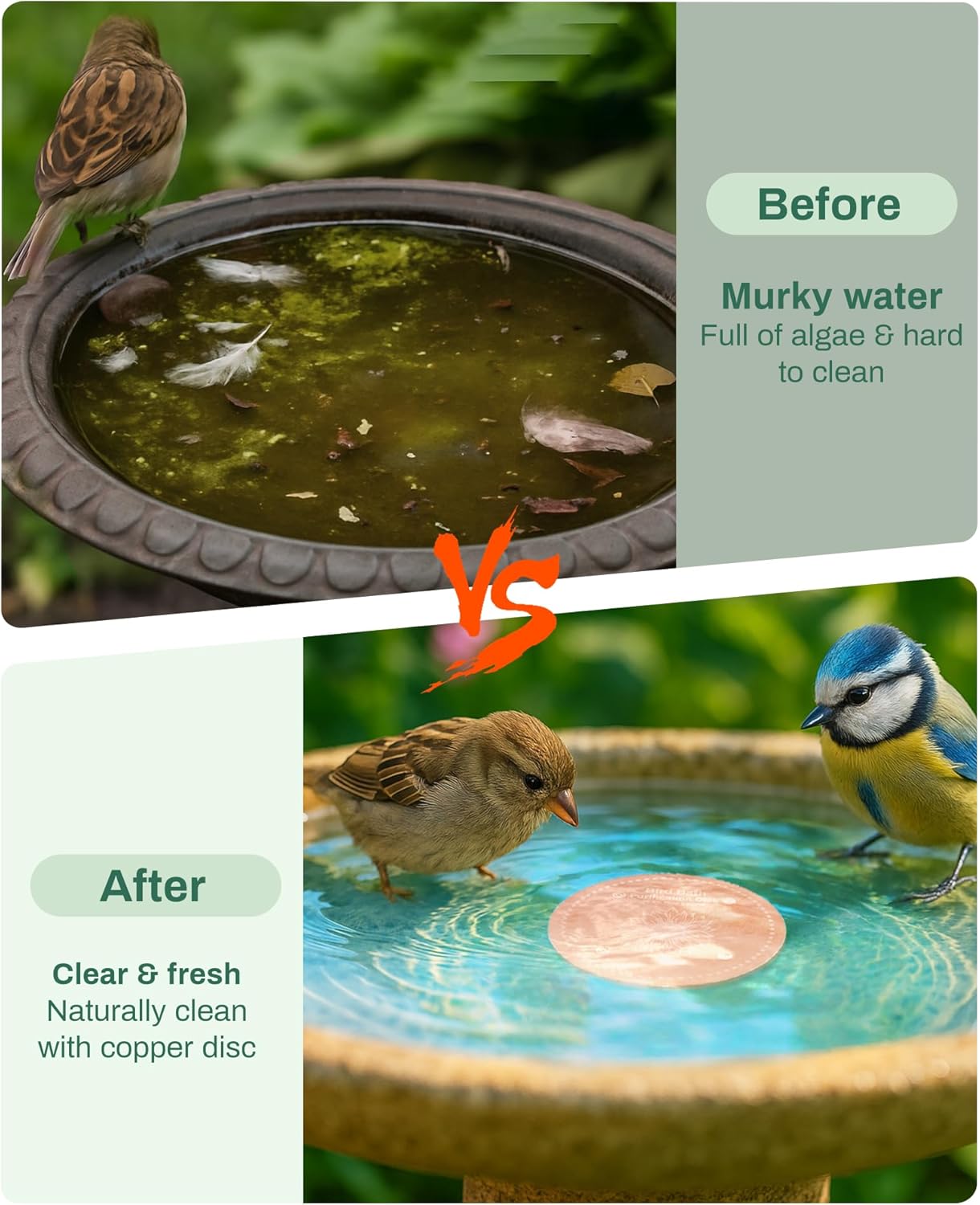 Bird Bath Purification Disk Pure Copper Outside Winter Solar Power Bir