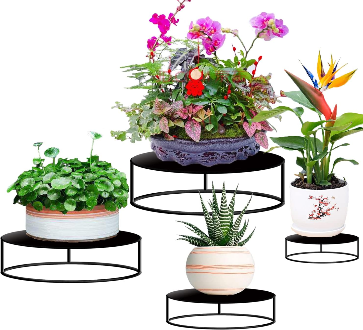 Metal Plant Stand for Outdoor Indoor Plants-4 Pack Heavy Duty Round Pl