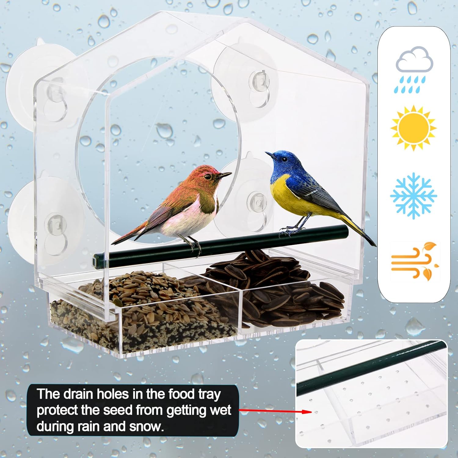 Acrylic Window Bird Feeder with 4 Strong Suction Cups, Clear and Trans