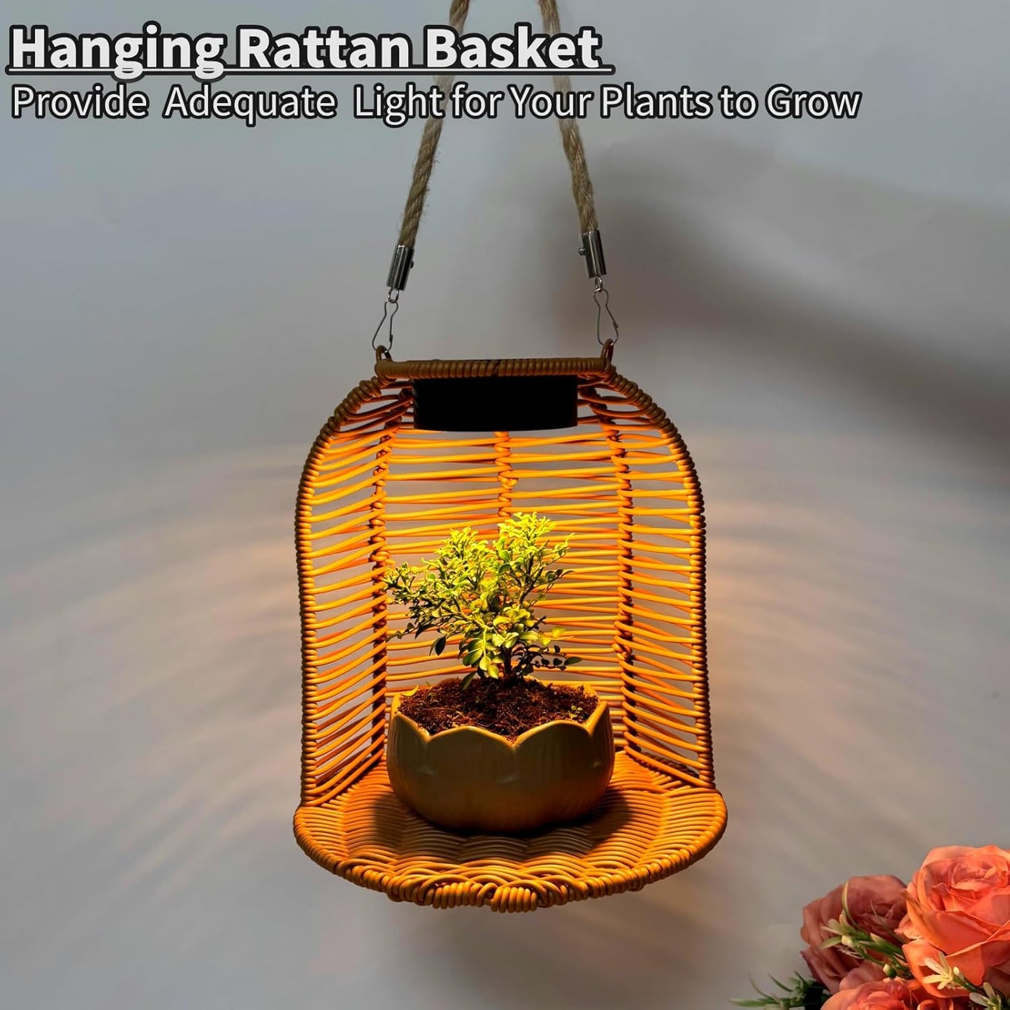 Hanging Planter for Indoor Plants, Rattan Hanging Flower Pots with Sol