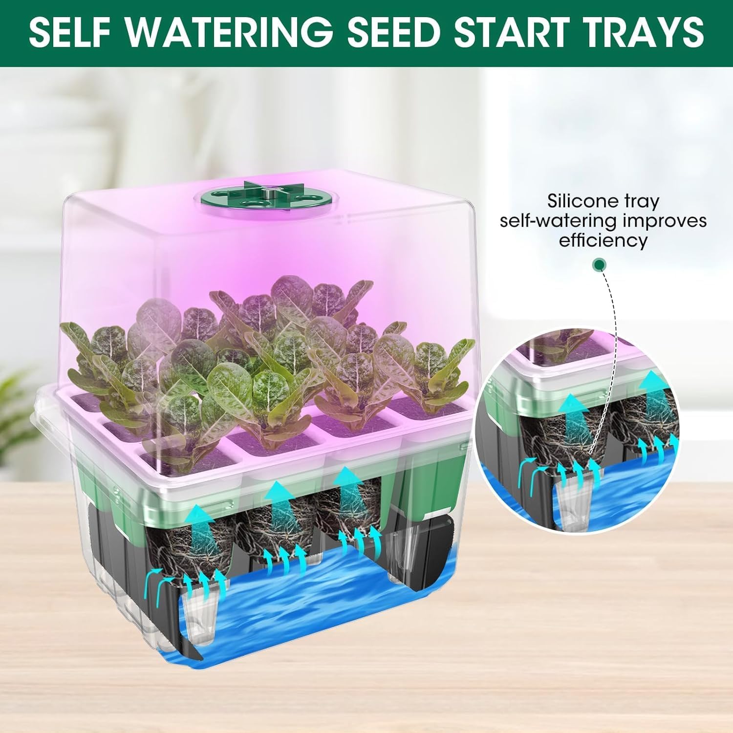 Self Watering Seed Starter Tray with Grow Light, 10-Pack 120-Cell Reus