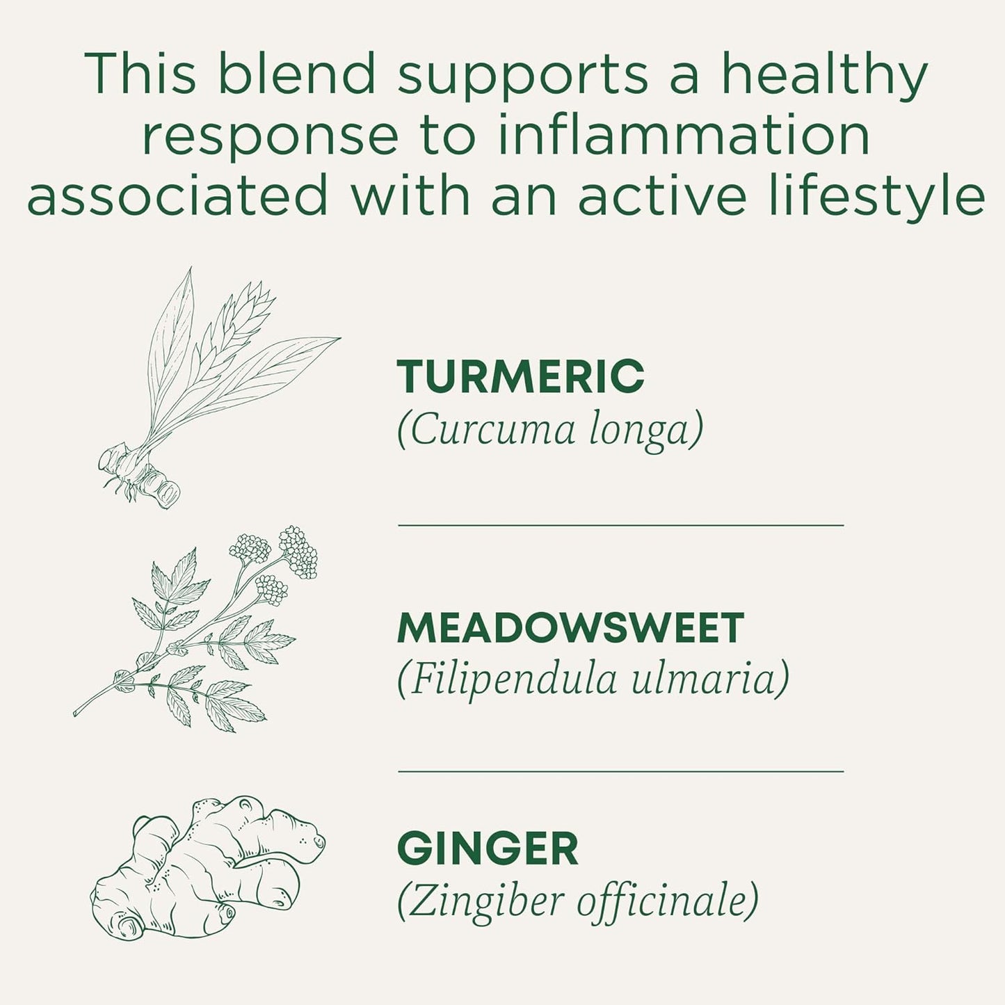 Traditional Medicinals Organic, Turmeric Tea with Ginger & Meadowsweet - Supports Normal Response to Inflammation - Kosher, Non-GMO, Caffeine-Free, Compostable - 16 Tea Bags