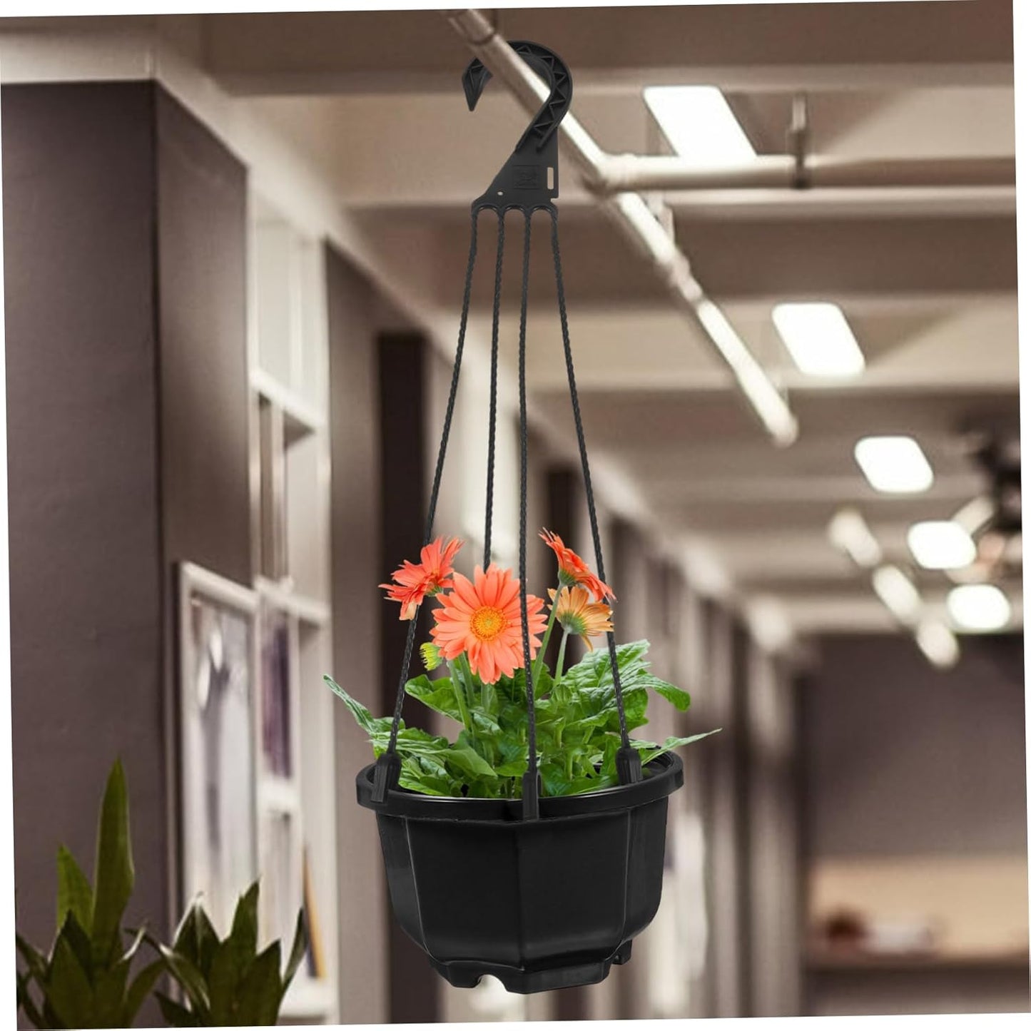 BESPORTBLE Plastic Hanging Basket Hooks: 5Pcs Plastic Chain Flower Pot Hangers, Hanging Flower Plant Pot Hanger for Planters Bird Feeders Lanterns Outdoor