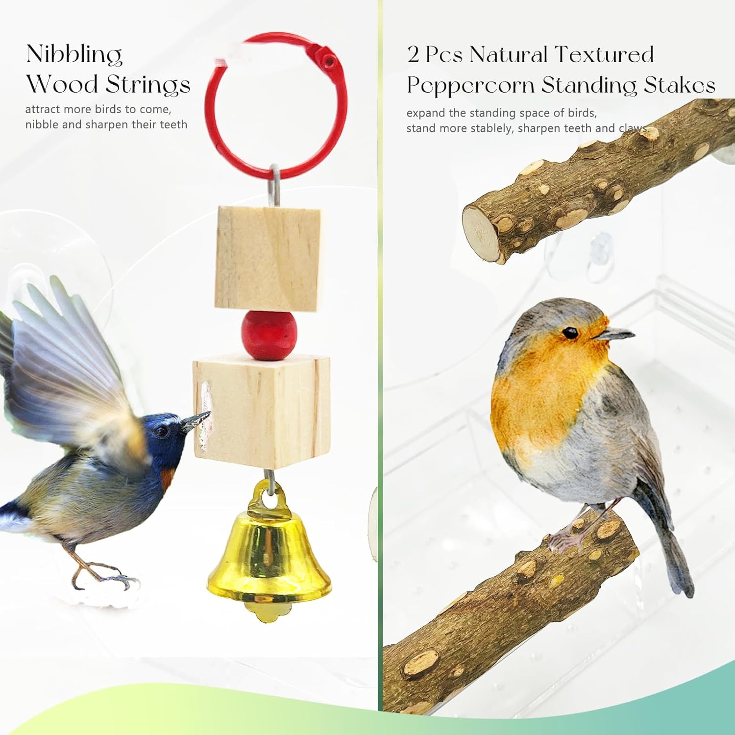 SNAIL GARDEN 9" Large Window Bird Feeder with 1pcs Nibbling Wood Strin
