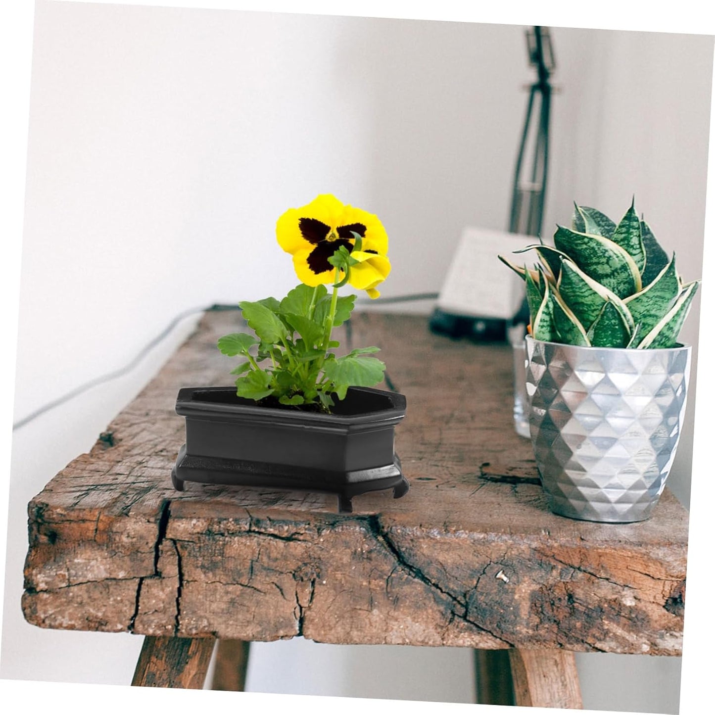 Coffin-Shaped Decorative Planter for Plants Vintage Flower Pot for Dec
