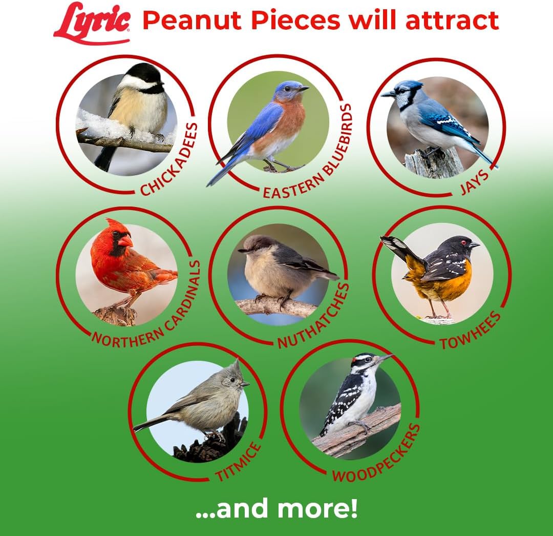 Lyric Peanut Pieces - Shelled Peanuts for Wild Birds 15 lb and Lyric F
