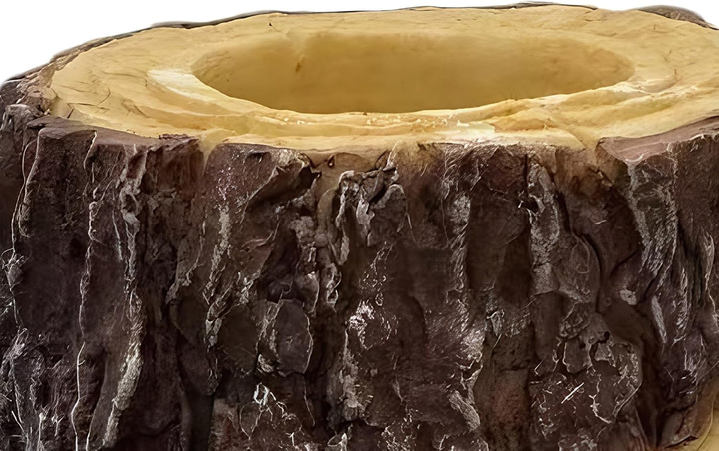 Bird Feeders for Outside, Tree Stump Shaped Birdwatching Feeding Station Tray for Wild Birds, Parrots, Cockatiels, Finches, Lovebirds, Budgies, Canary
