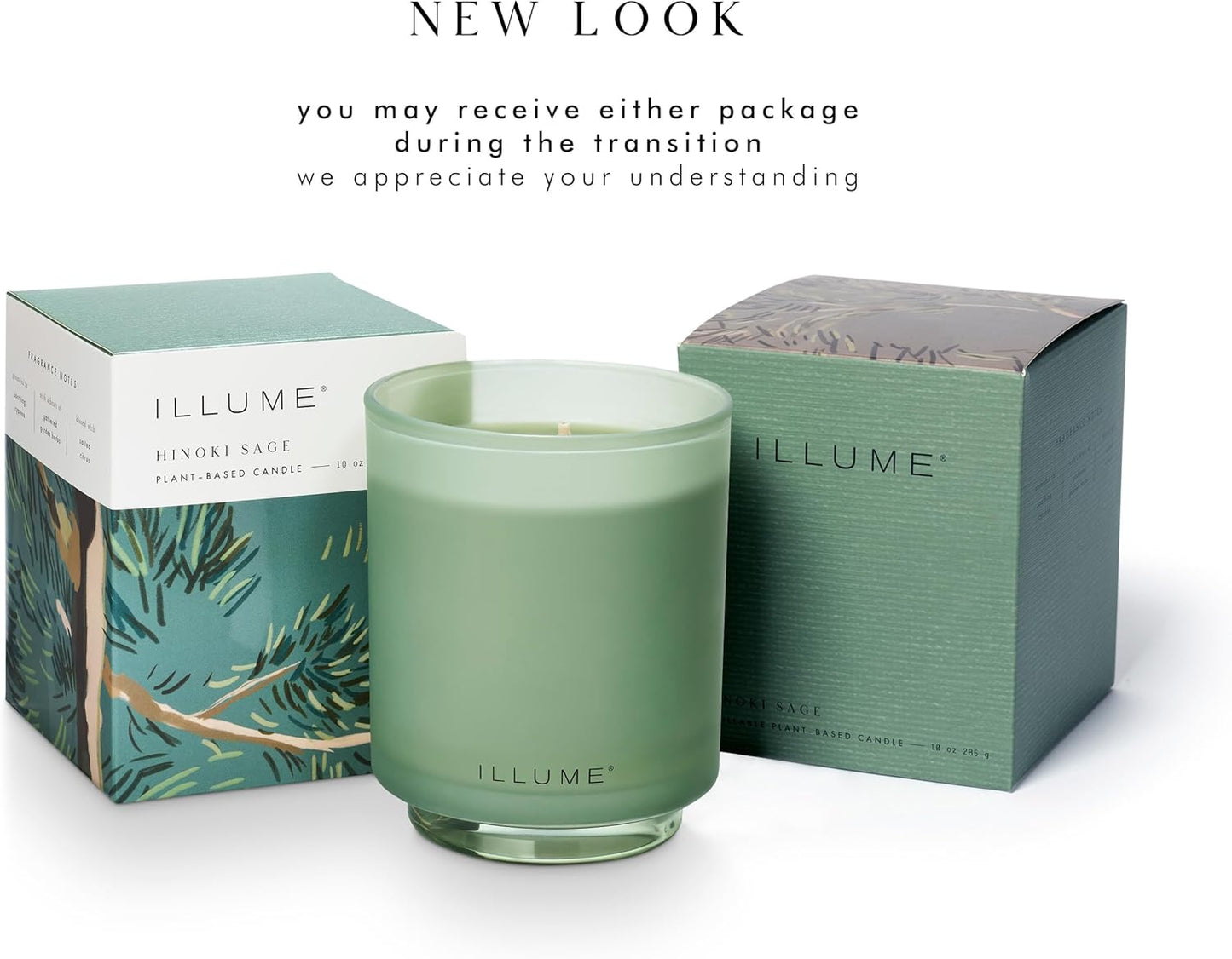 Illume Beautifully Done Essentials Hinoki Sage Boxed Glass Scented Soy