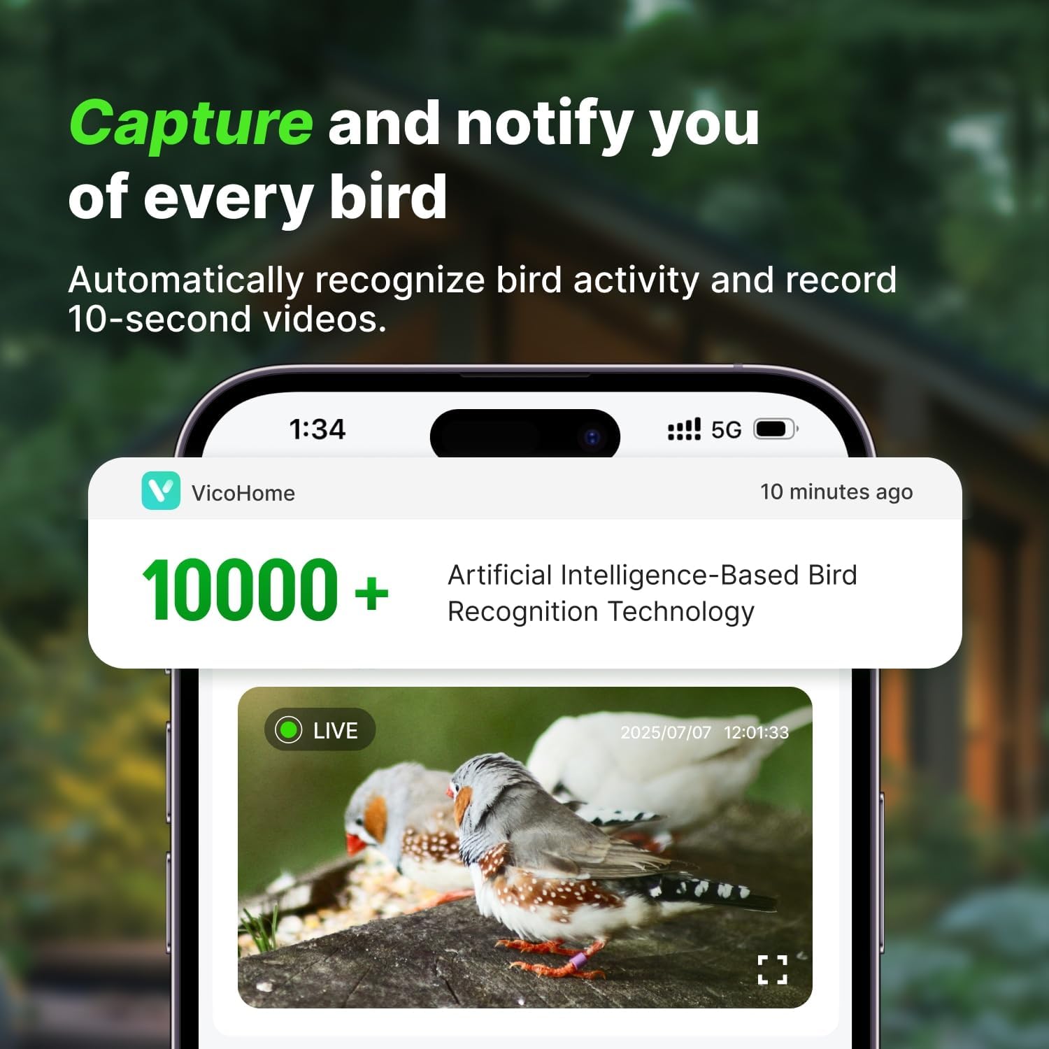 Smart Birdhouse with 2K HD Camera, Solar Powered & Battery, Night Visi