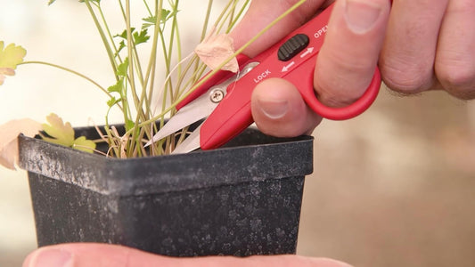 Corona FS 4110 Hydroponic Finger Micro Snips , Red