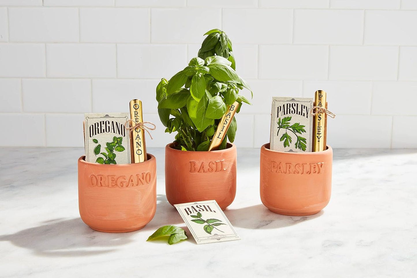 Mud Pie Parsley Herb Planting Set, Parsely