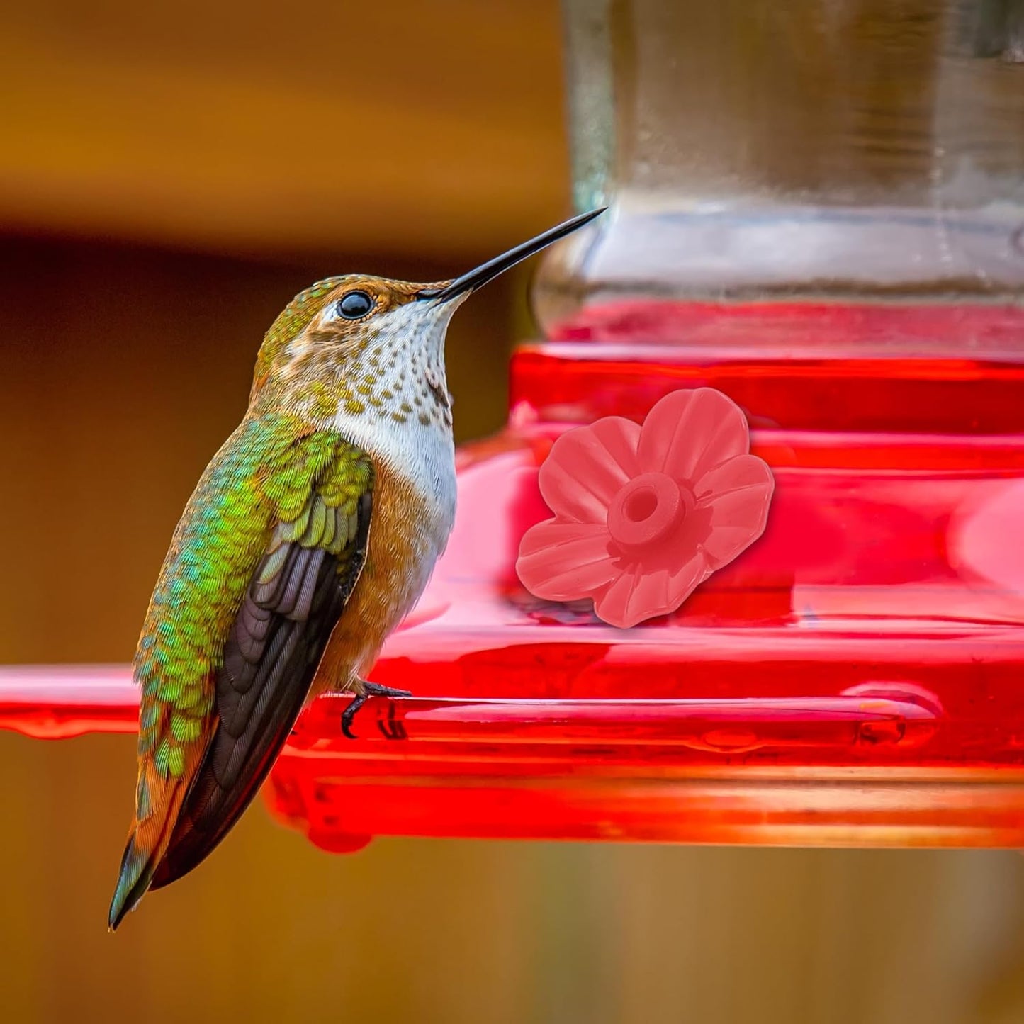 30 Pcs Hummingbird Feeder Parts, Replacement Flowers for Hummingbird Feeder, Pet Hummingbird Feeder, Plastic Components, Red, Attracts Hummingbirds