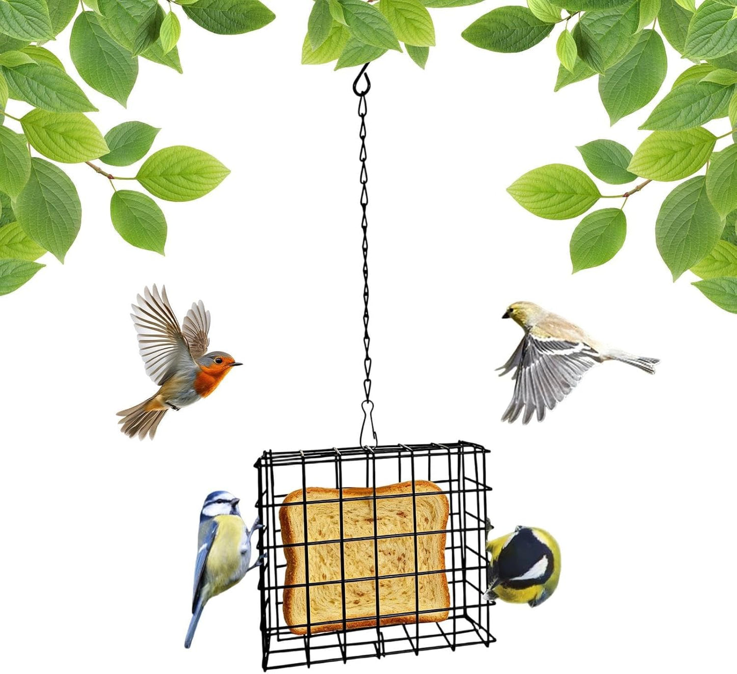 Suet Bird Feeder | Reusable Squirrel Proof Birdwatching Feeding Station - Squirrel Proof Suet Feeder - for Balcony Garden Yard Patio Outdoor Outside Hummingbirds Woodpeckers