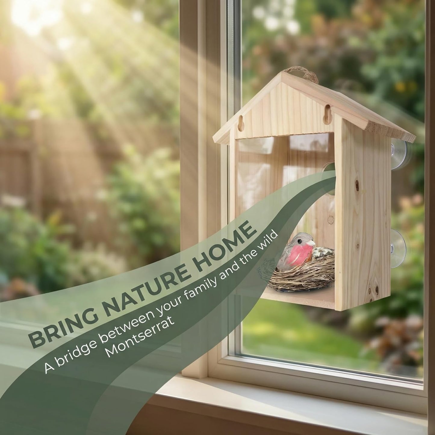 Clear View Window Bird House with Strong Suction Cups - Transparent Ac