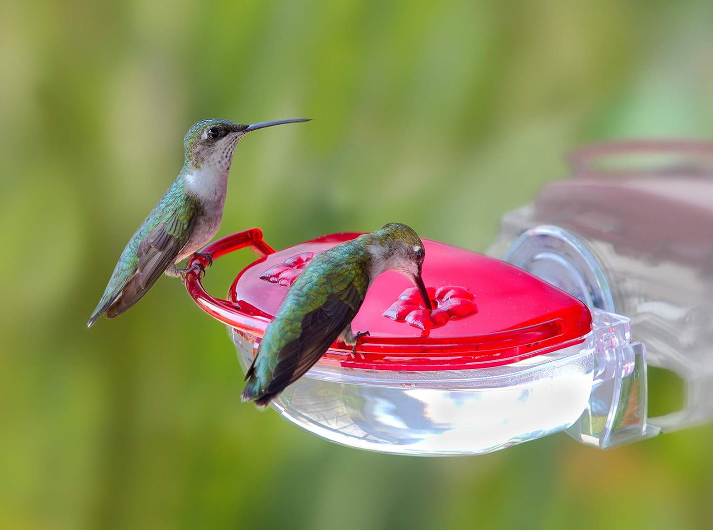 Aspects "The Gem" Window Mount Hummingbird Feeder, 4 oz - 437