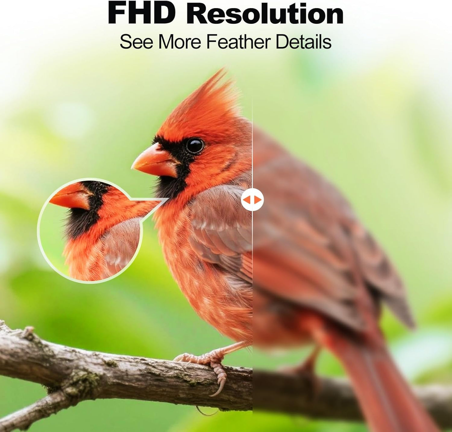 Bird Feeder with Camera,AI Identify Birds Species,FHD WiFi Outdoor Smart Bird Feeder Camera with Solar Powered,Real-Time Notice,Auto Record,IP65 Weatherproof Birds House with Cam,Ideal Gift for Family