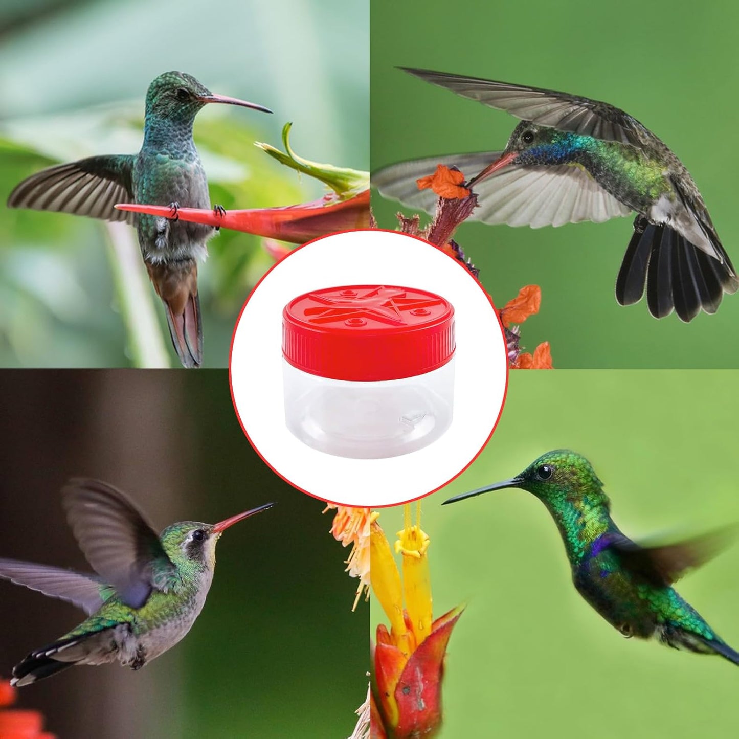 2025 Hand Hummingbird Feeders, Hummingbird Handheld Feeder, Handheld Bird Feeder Bottle Hummingbird Feeder Window Hummingbird for Outdoor Supplies