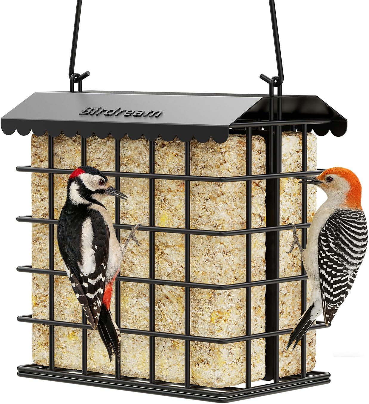 Birdream Double Suet Feeders for Outside Hanging Bird Feeder with Weatherproof Roof Holds 2 Suet Cakes Bird Cage for Outdoors Attract Woodpeckers Goldfinches Chickadees 1-Pack Black