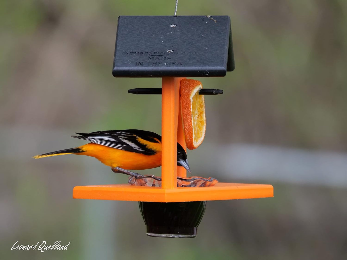 AmishToyBox.com Oriole Bird Feeder, Poly-Lumber Hanging Oriole Jelly Feeder (Orange)