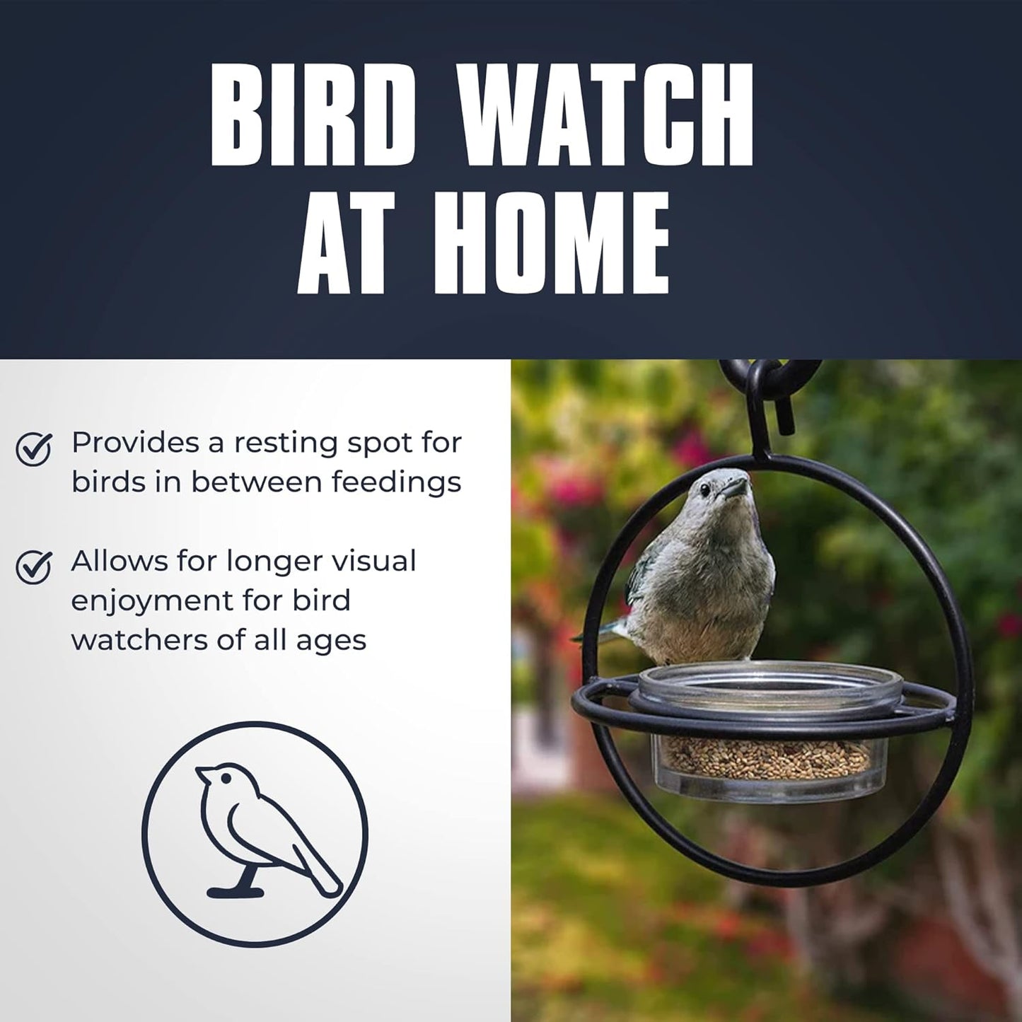 Monarch Abode Hanging Bird Feeder for Outdoors – Hanging Zazu Birdfeeder with Clear Glass Bowl & Metal Perch for Small Birds, Matte Black Decorative Wild Bird Feeder for Outside Garden Patio Deck Yard