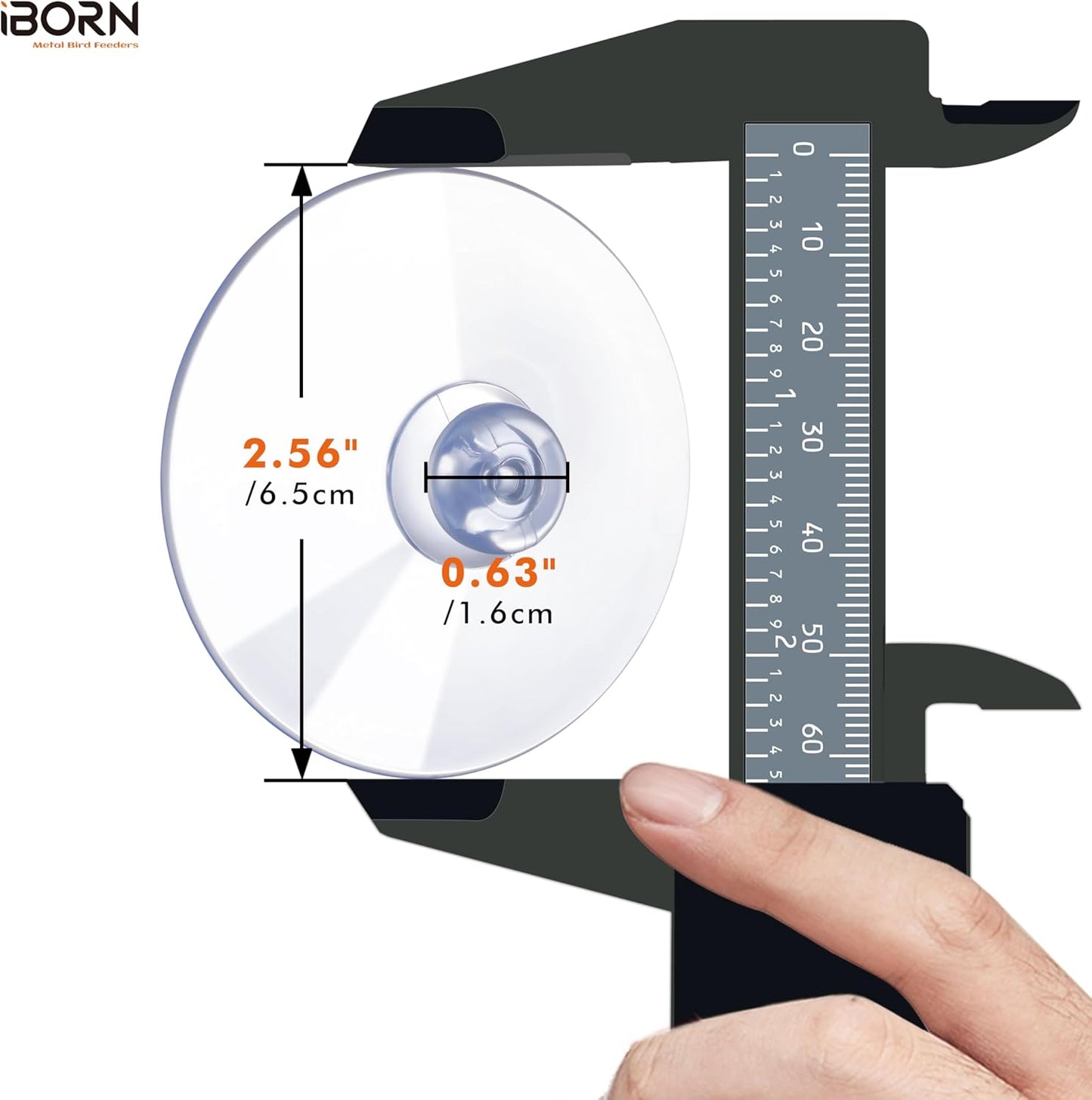 iBorn Bird Feeder Suction Cup, for iBorn Window Bird Feeder/Mini Hummi
