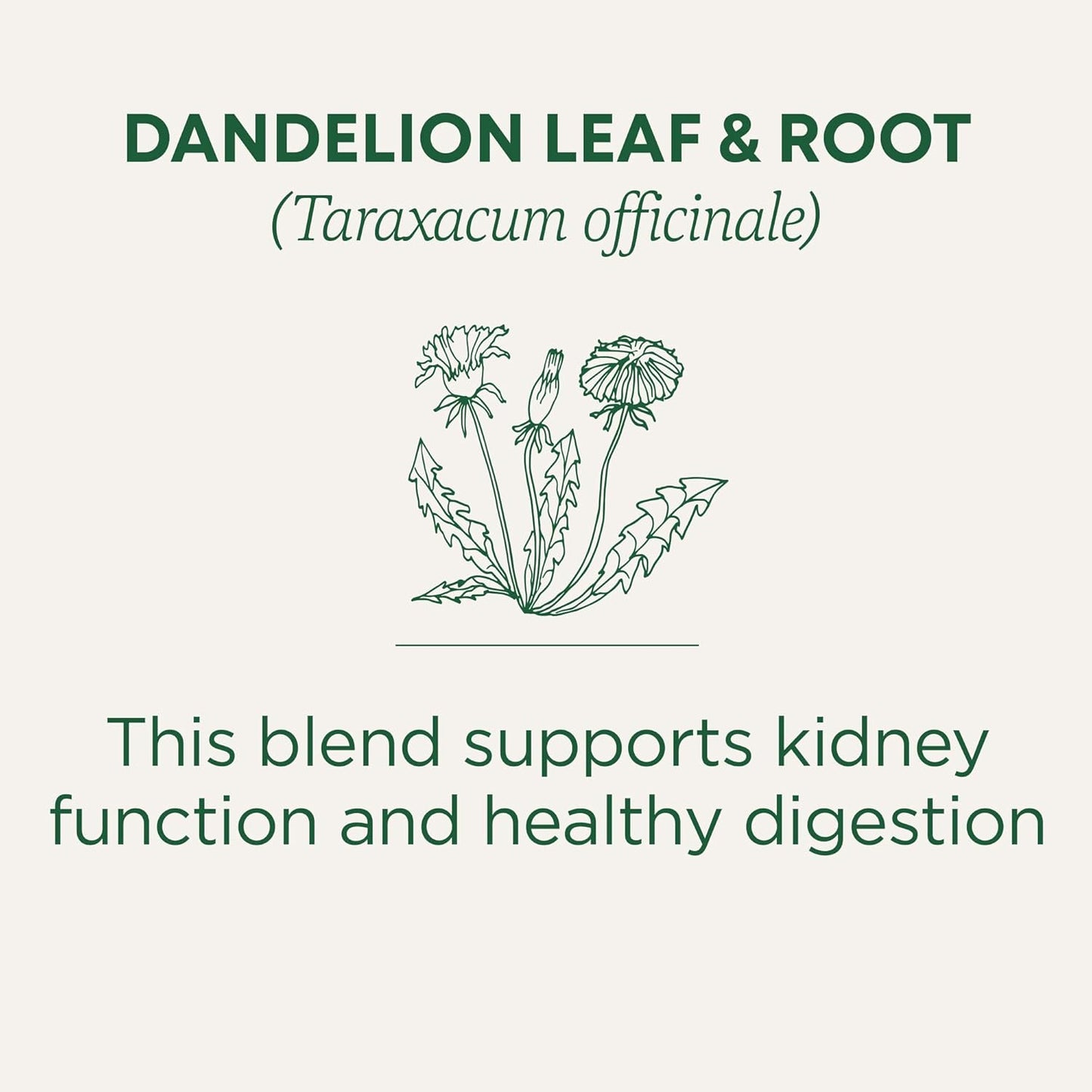 Traditional Medicinals Organic, Dandelion Leaf & Root - Dandelion Root