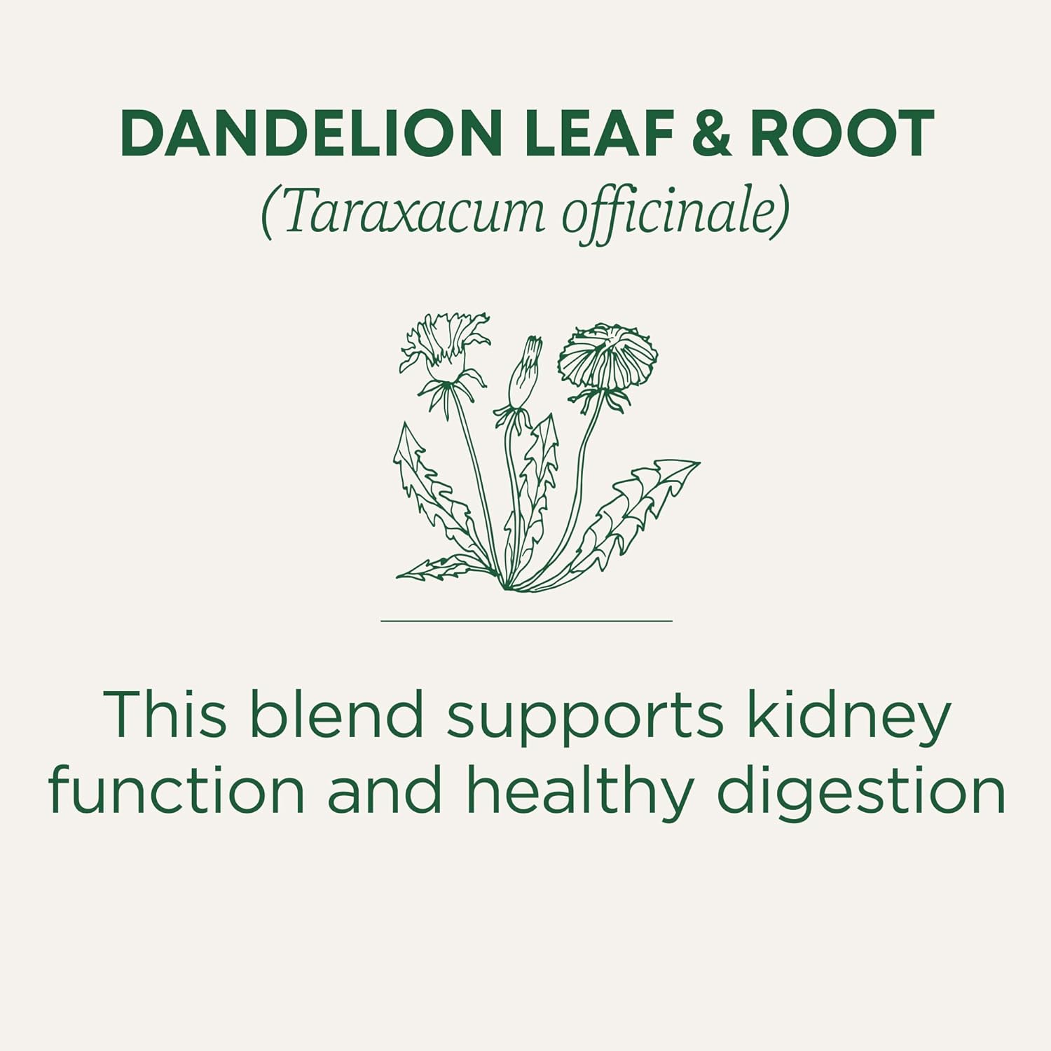 Traditional Medicinals Organic, Dandelion Leaf & Root - Dandelion Root