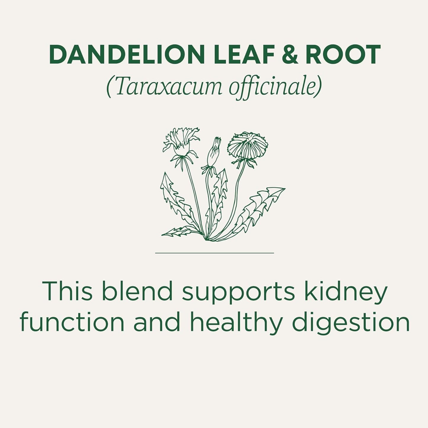 Traditional Medicinals Organic, Dandelion Leaf & Root - Dandelion Root Tea, Supports Normal Detox + Digestion - Kosher, Non-GMO, Caffeine-Free, Compostable - 16 Tea Bags