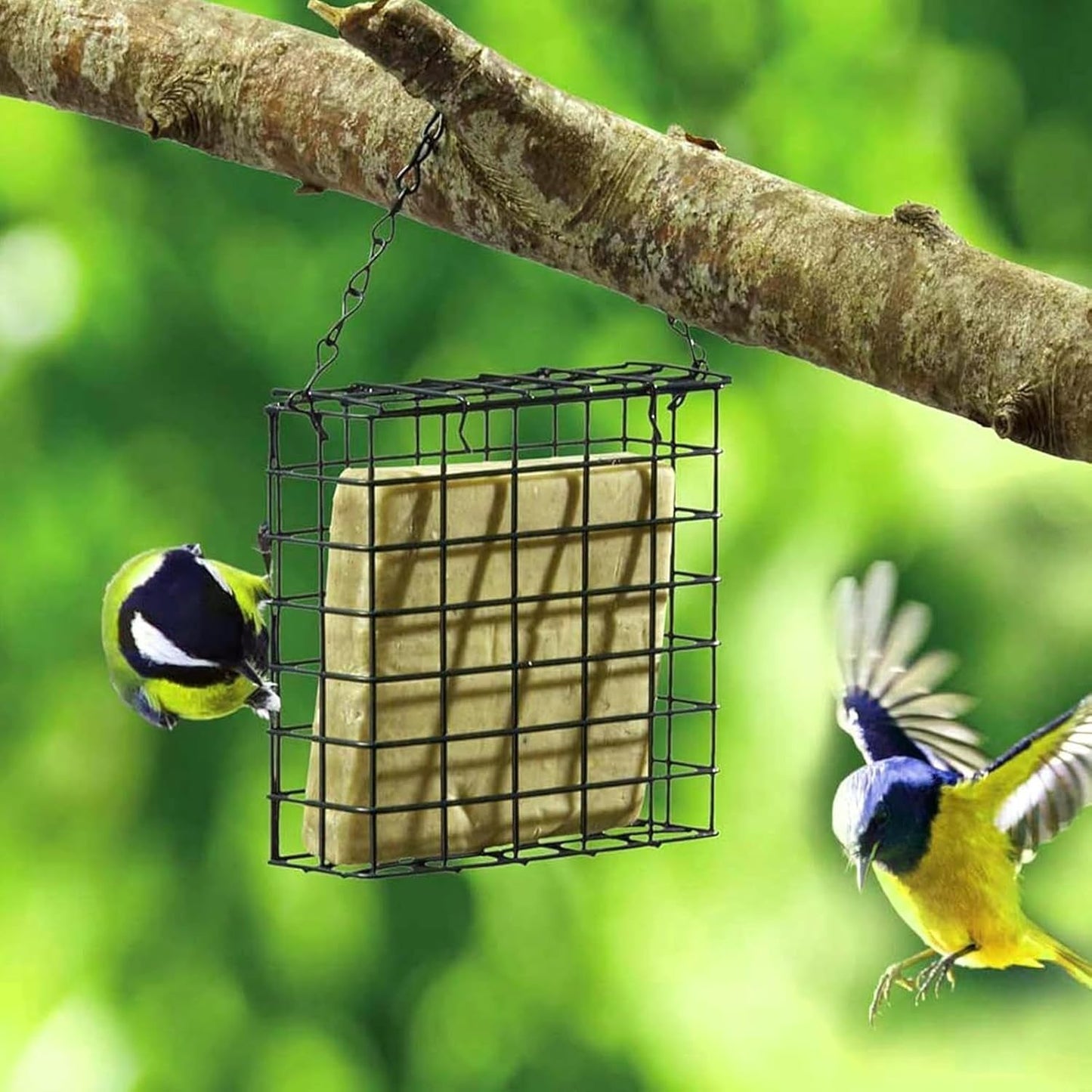 Bird Feeder | Cage Wire Mesh Suet Feeding Holder,Birdfeeders Outside Hangable | for Patio Lawn Outdoor Backyard Balcony Birdwatching Park Porch Deck Terrace Garden