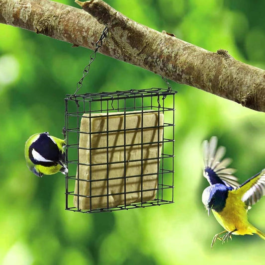 Bird Feeder | Cage Wire Mesh Suet Feeding Holder,Birdfeeders Outside Hangable | for Patio Lawn Outdoor Backyard Balcony Birdwatching Park Porch Deck Terrace Garden