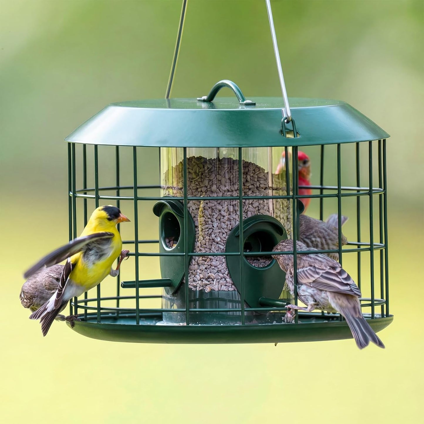 Kingsyard Tube Squirrel Proof Bird Feeders for Outdoor Hanging, Metal 