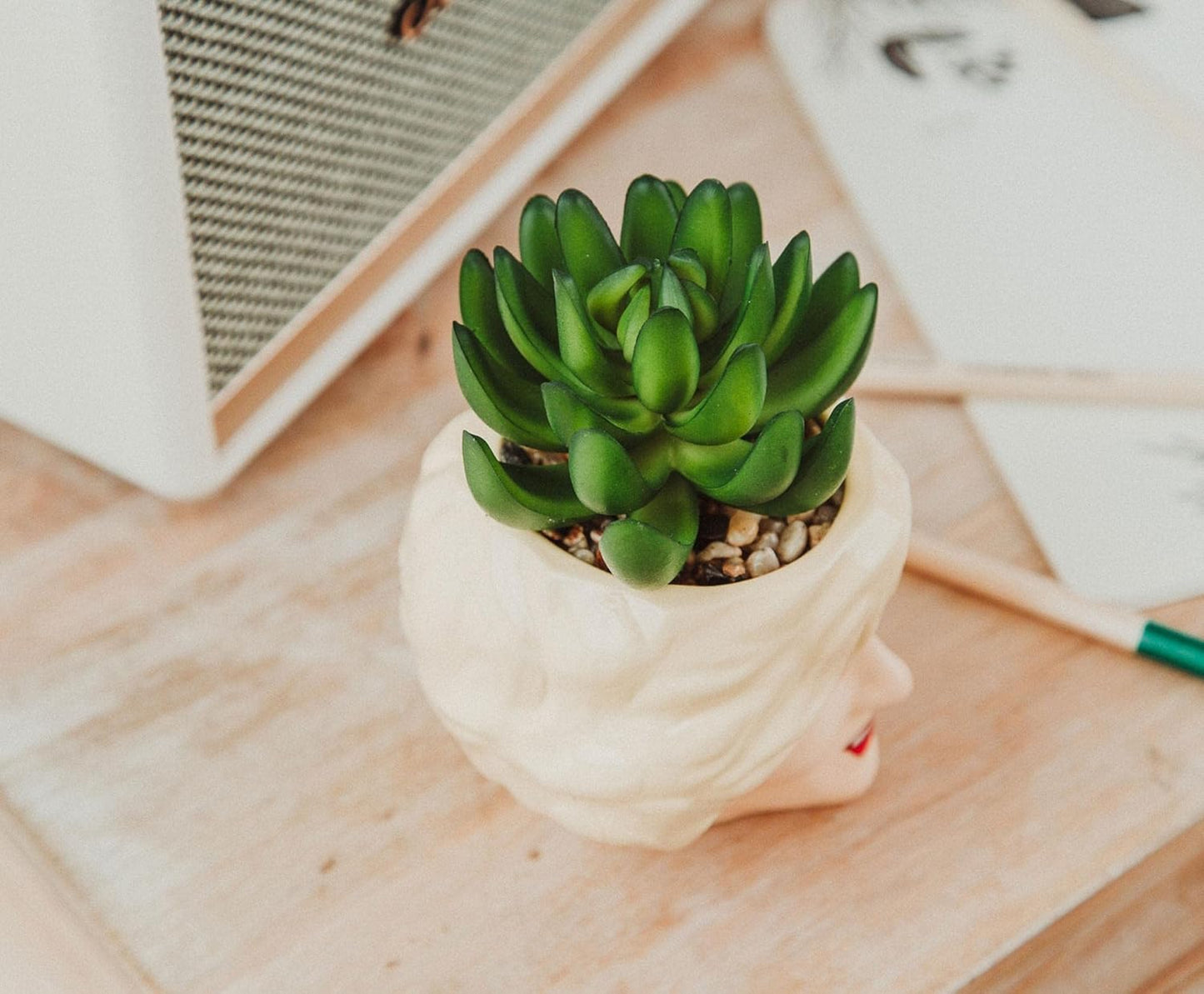 Toynk The Golden Girls Rose 3-Inch Ceramic Mini Planter with Artificial Succulent | Cute Small Flower Pot, Faux Indoor Plants