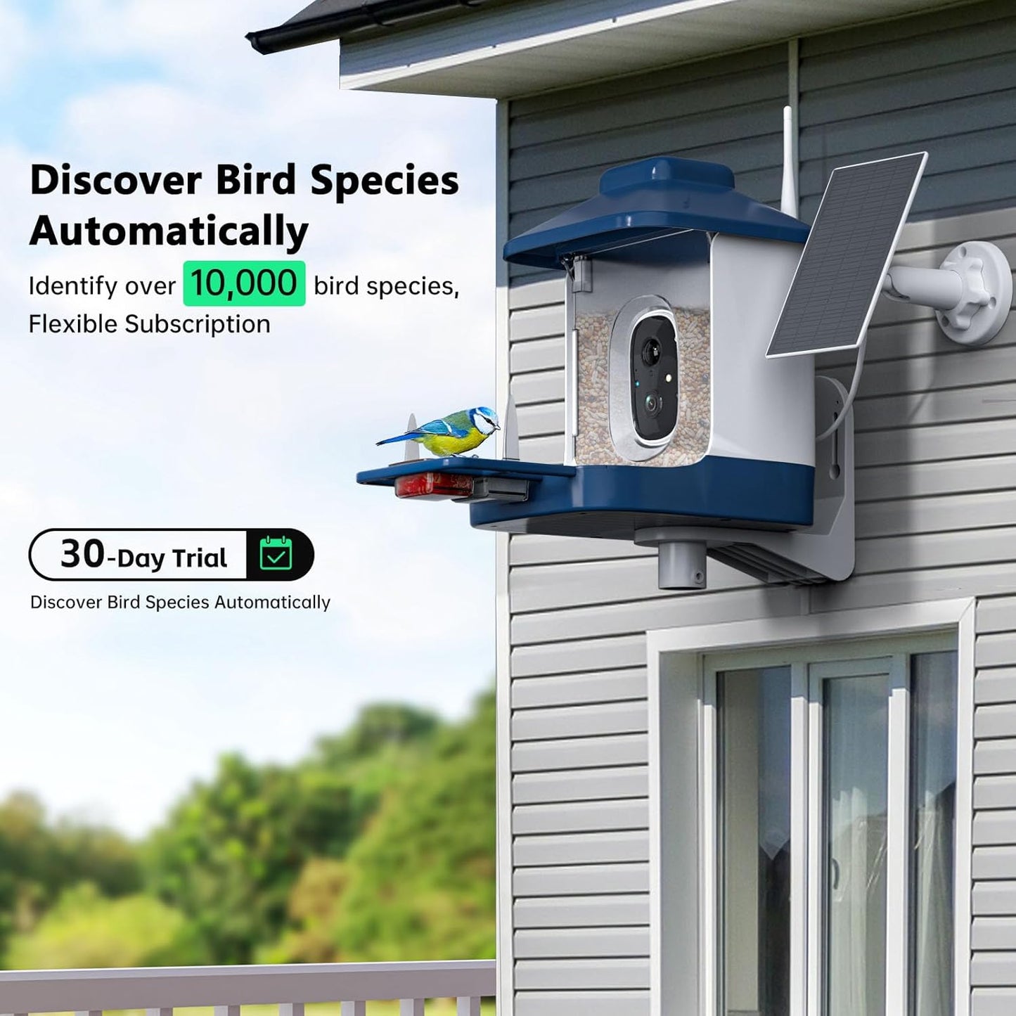Bird Feeder with Camera, AI Bird Identification, Full HD Live Video, S