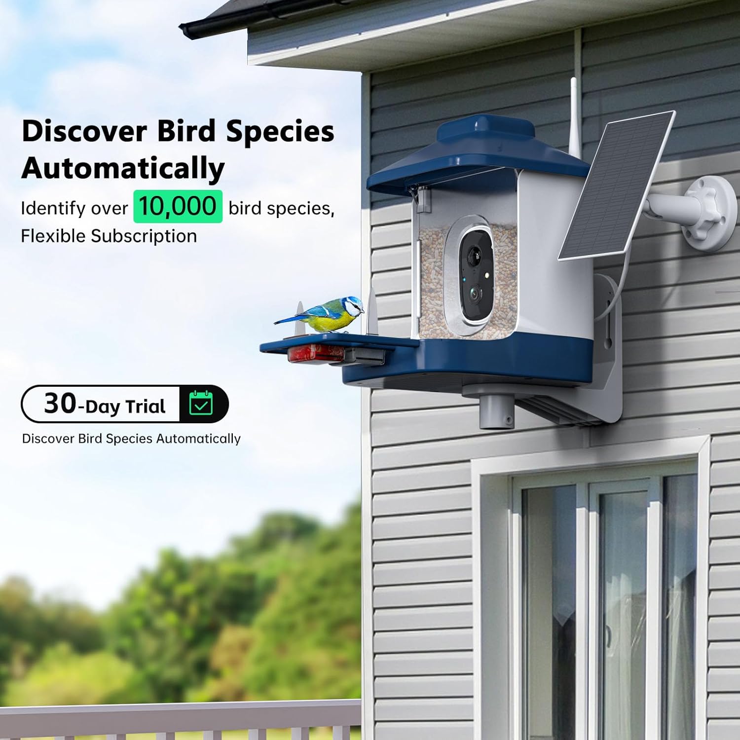 Bird Feeder with Camera, AI Bird Identification, Full HD Live Video, S