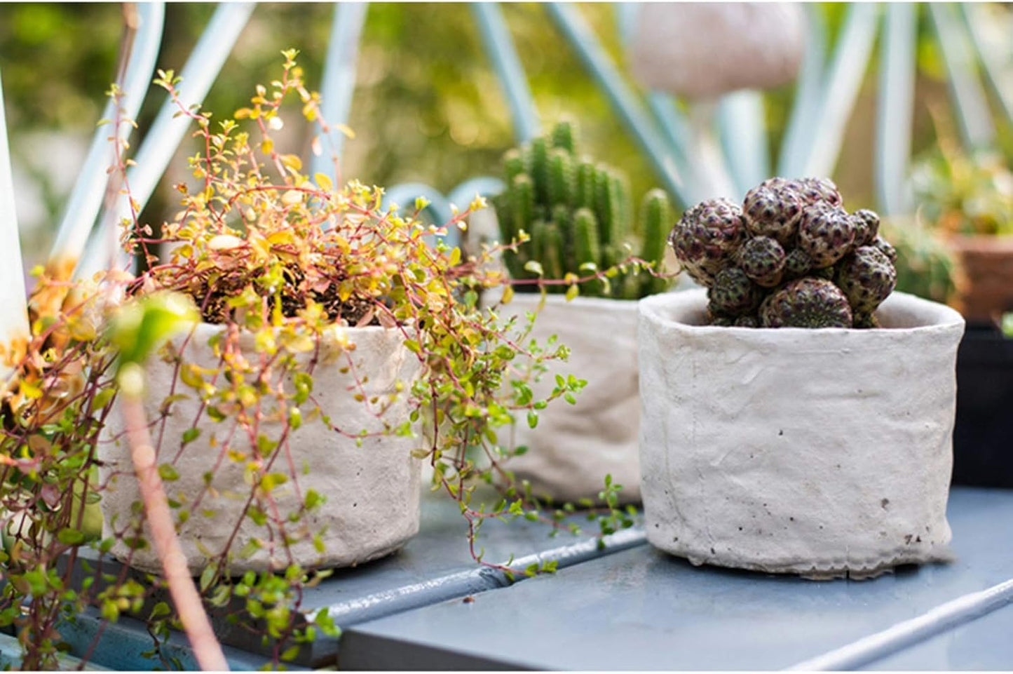 Flower Plant Pot White Succulent Planter Plant Pots Ceramic Indoor Out