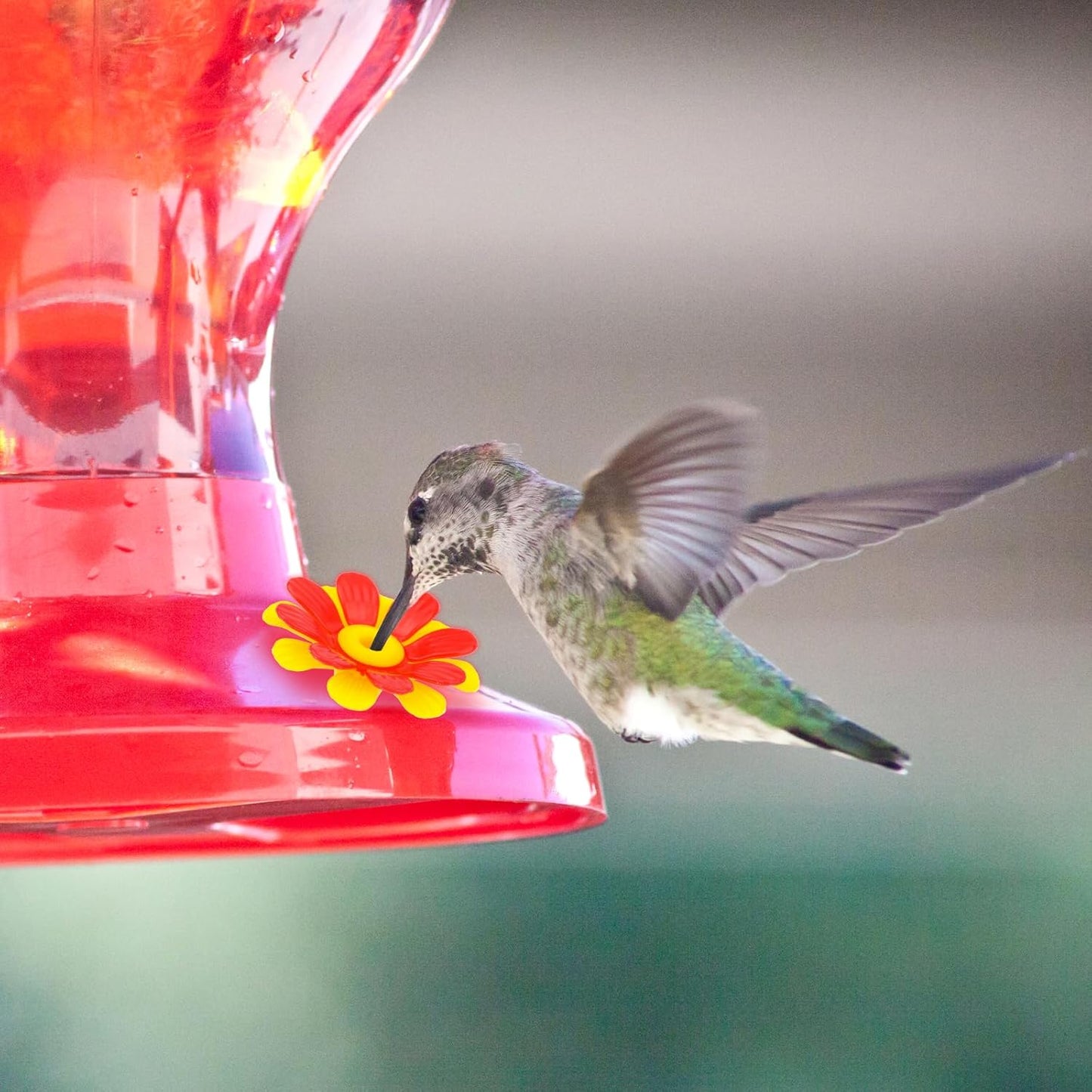 20pc Hummingbird Feeder Flowers & Cleaning Brushes - Hanging Hummingbi