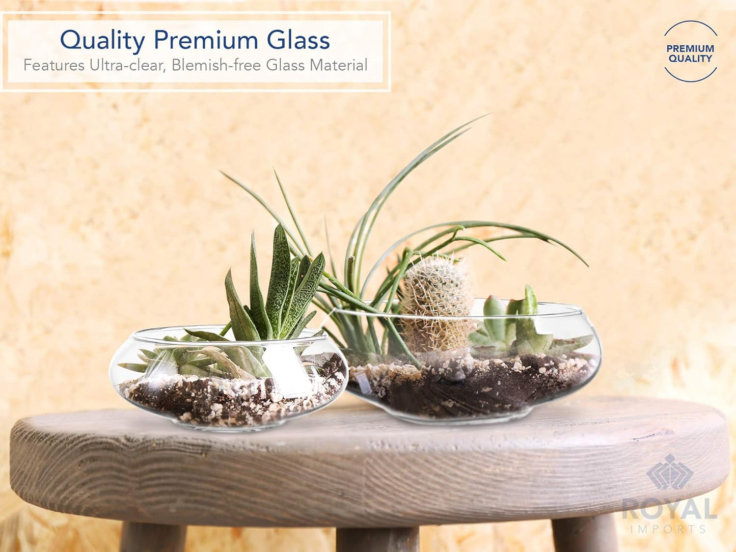 Royal Imports Round Glass Vase Set of 2 – Clear Decorative Glass Bowls for Flowers, Terrariums, Succulent Planters, Bubble Vases, Floral Decor Centerpieces, Glass Flower Pots for Home or Wedding Décor