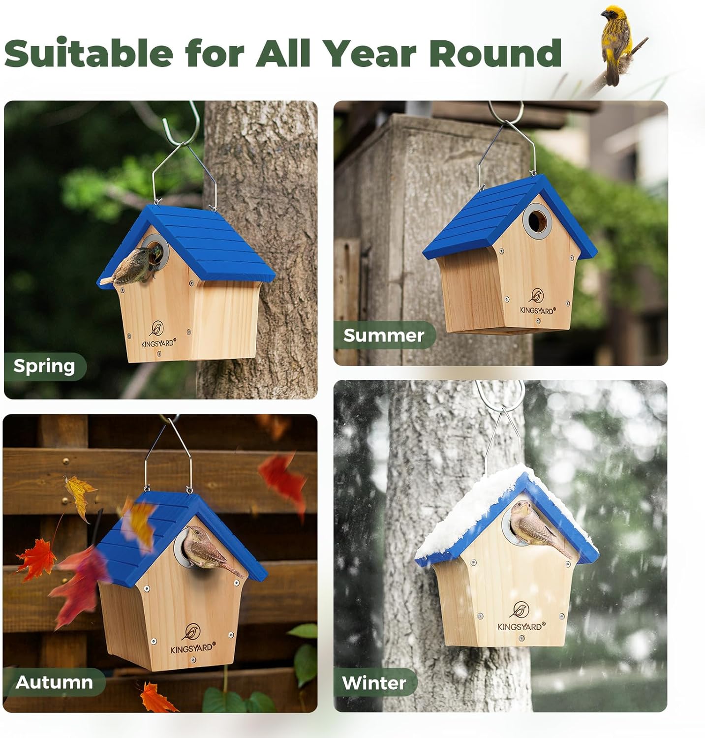 Kingsyard Wooden Wren House with Predator Guard, Bird Nesting for Outdoor, Garden Patio Nest Box Birdhouse for Wild Bird Watching, Royal Blue
