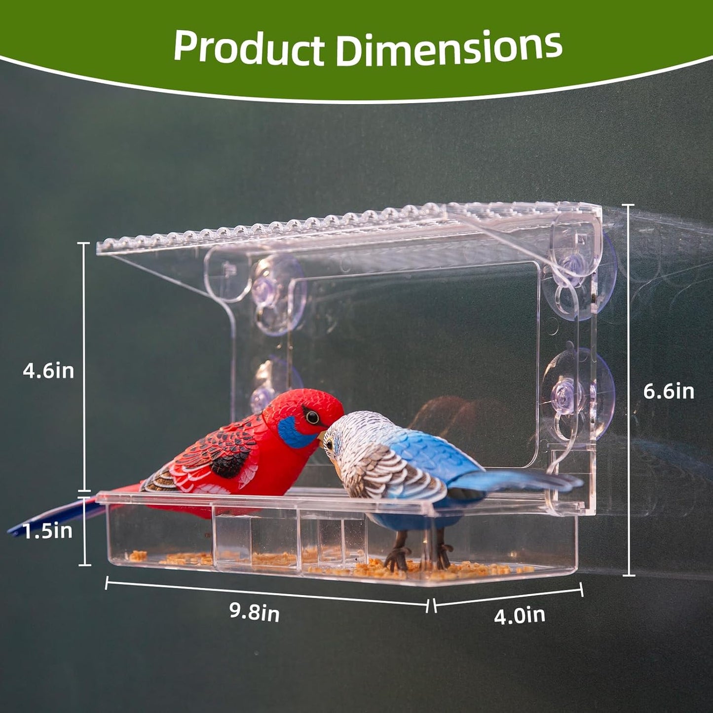 Window Bird Feeder with Strong Suction Cups – Flat-Tile Roof Acrylic Bird Feeder for Outdoors, Clear Viewing Box for Wild Birds & Cats, Easy-to-Clean, Large Capacity, Transparent Birdhouse Feeder